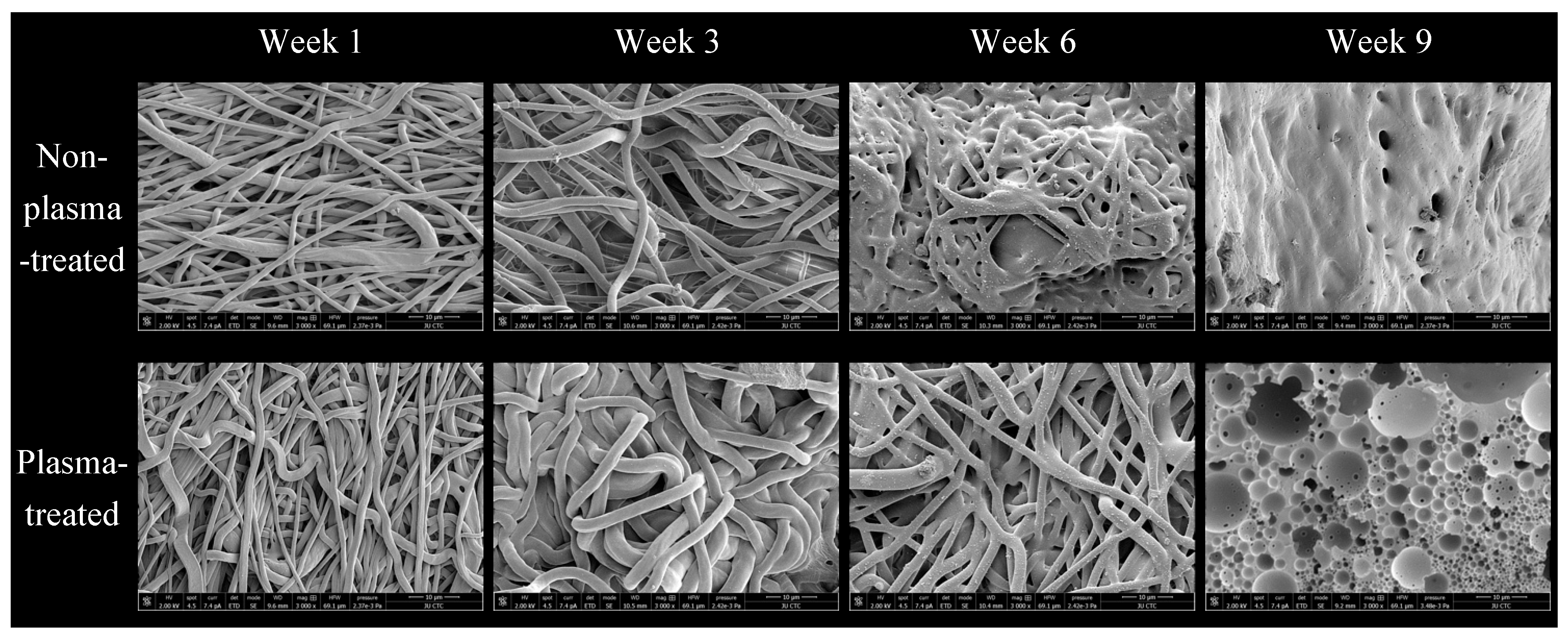 Polymers 15 04244 g004