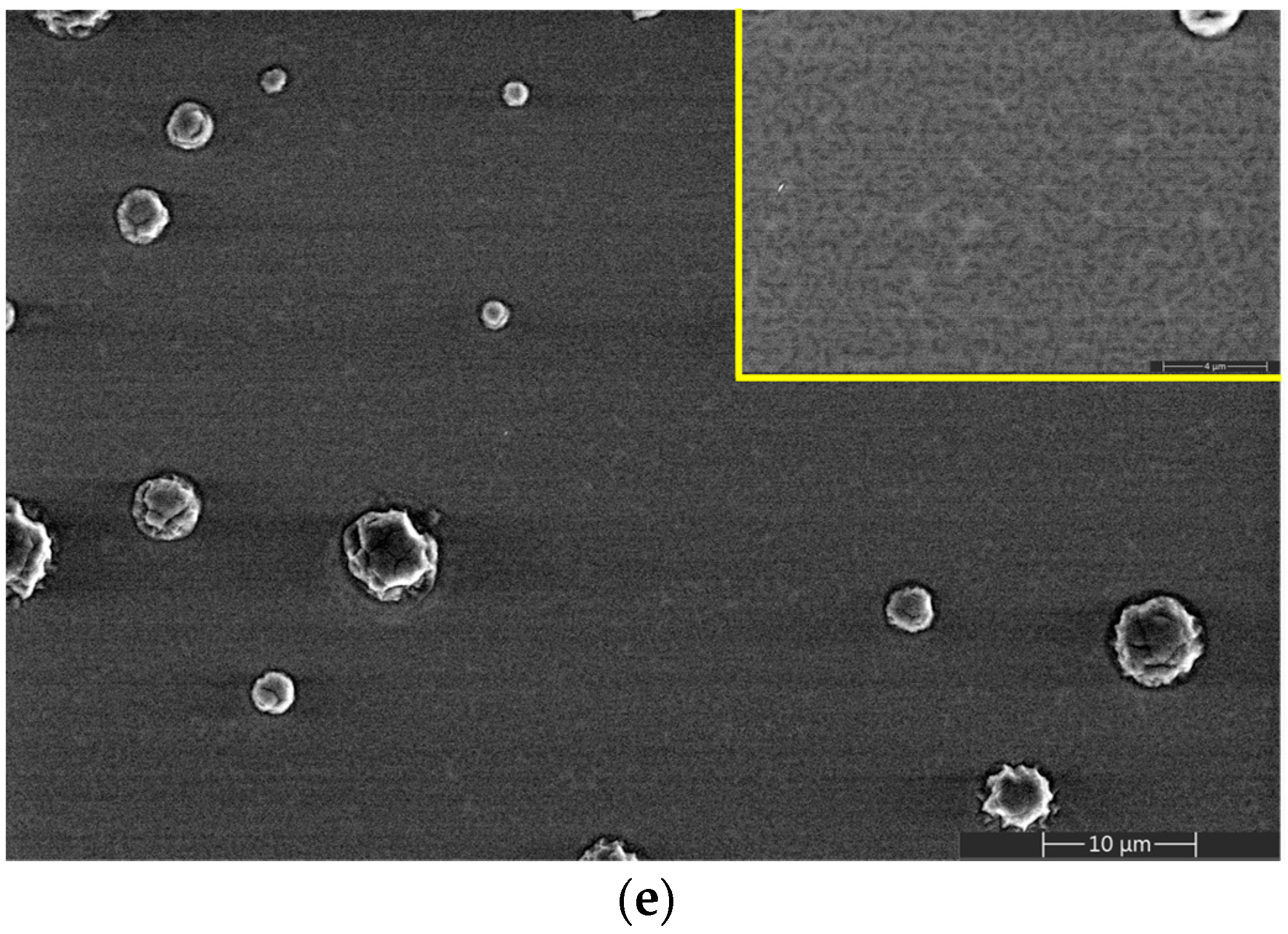Polymers 15 04245 g002b