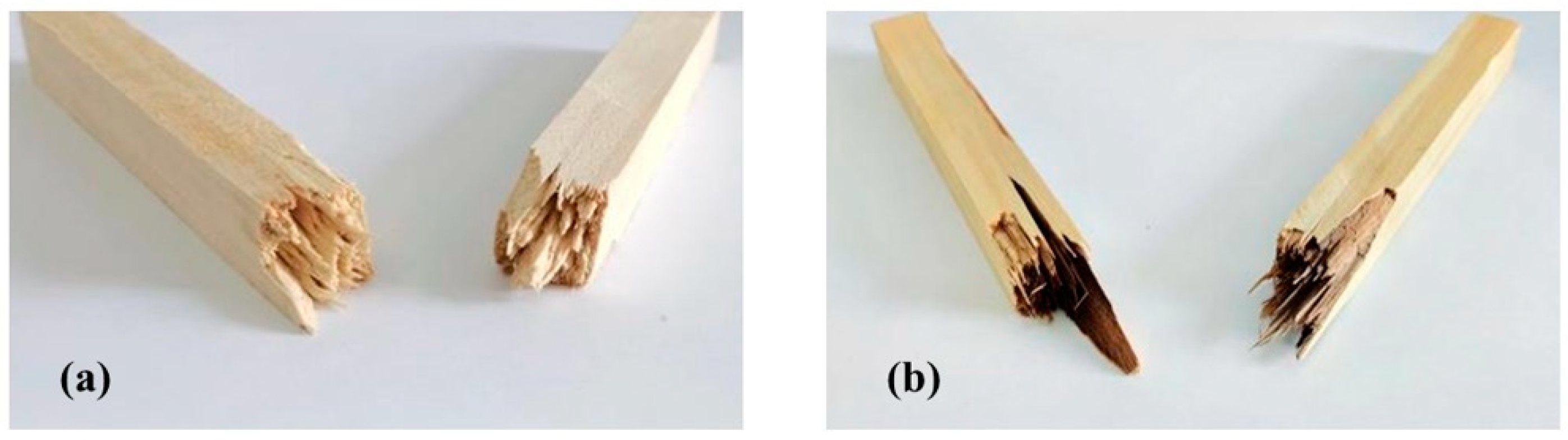 Personalizzato di alta qualità 1,5 mm impiallacciatura di betulla naturale  all'ingrosso - Alta qualità - XHWOOD