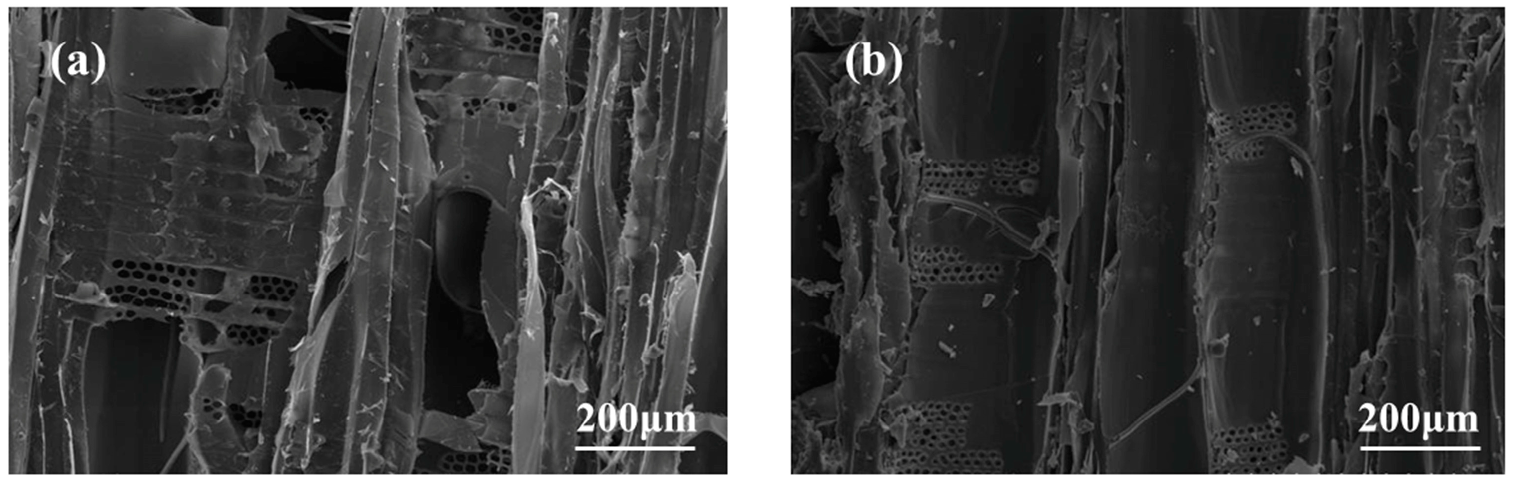 Polymers 15 04247 g004