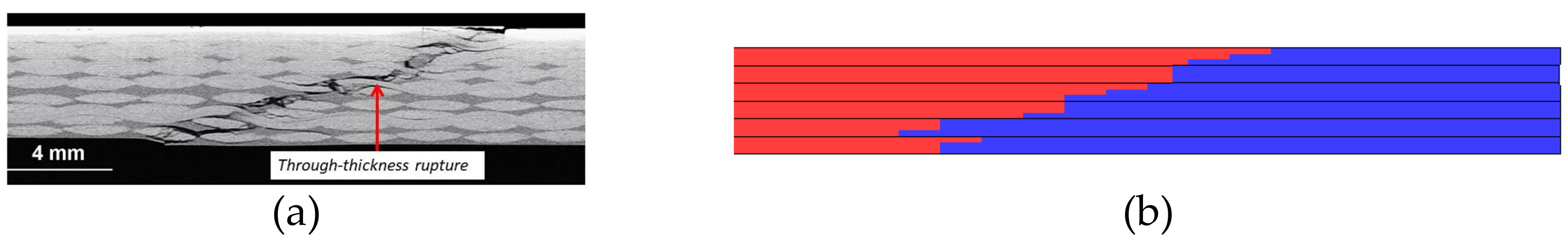 Polymers 15 04269 g009