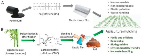 Structural bamboo composites: A review of processing, factors affecting  properties and recent advances - ScienceDirect