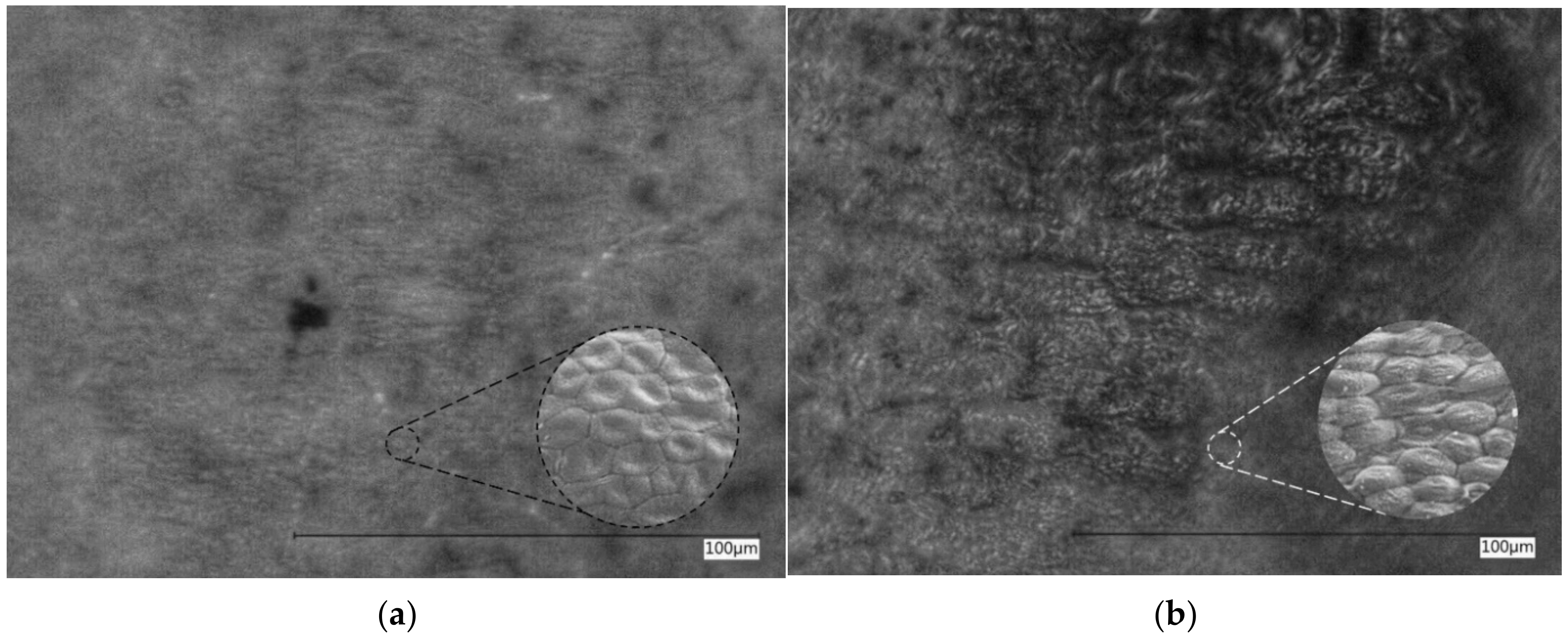 Polymers 15 04277 g002