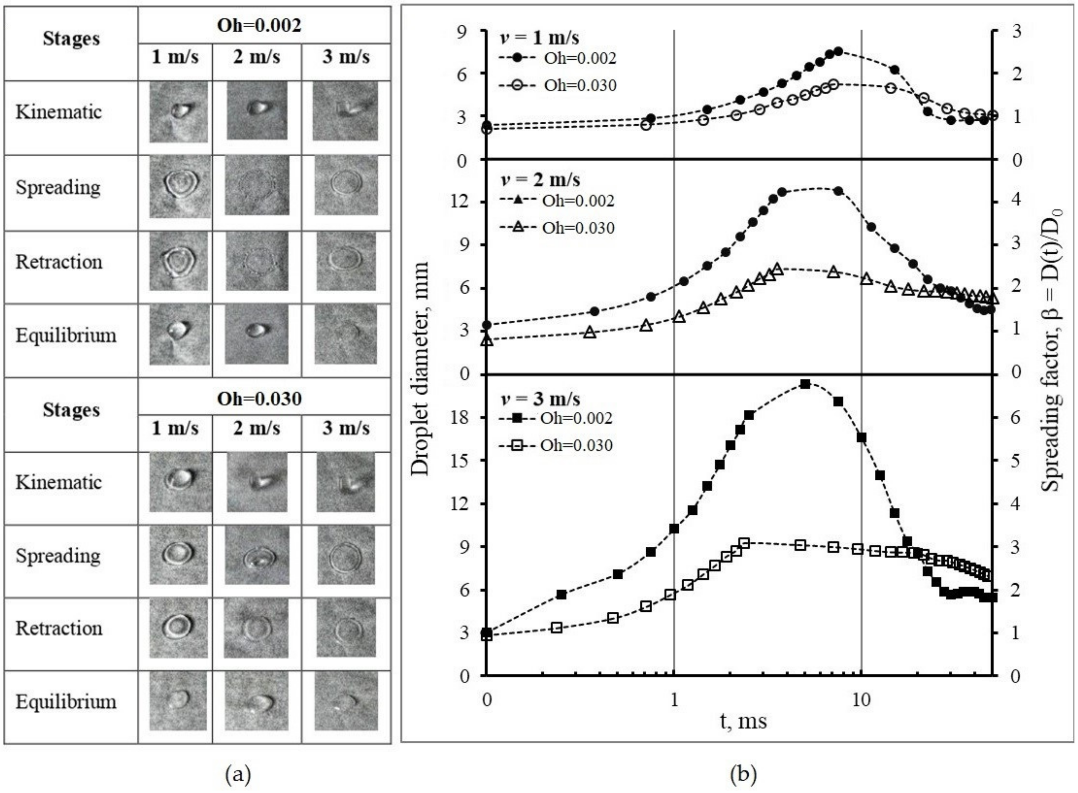 Polymers 15 04277 g005