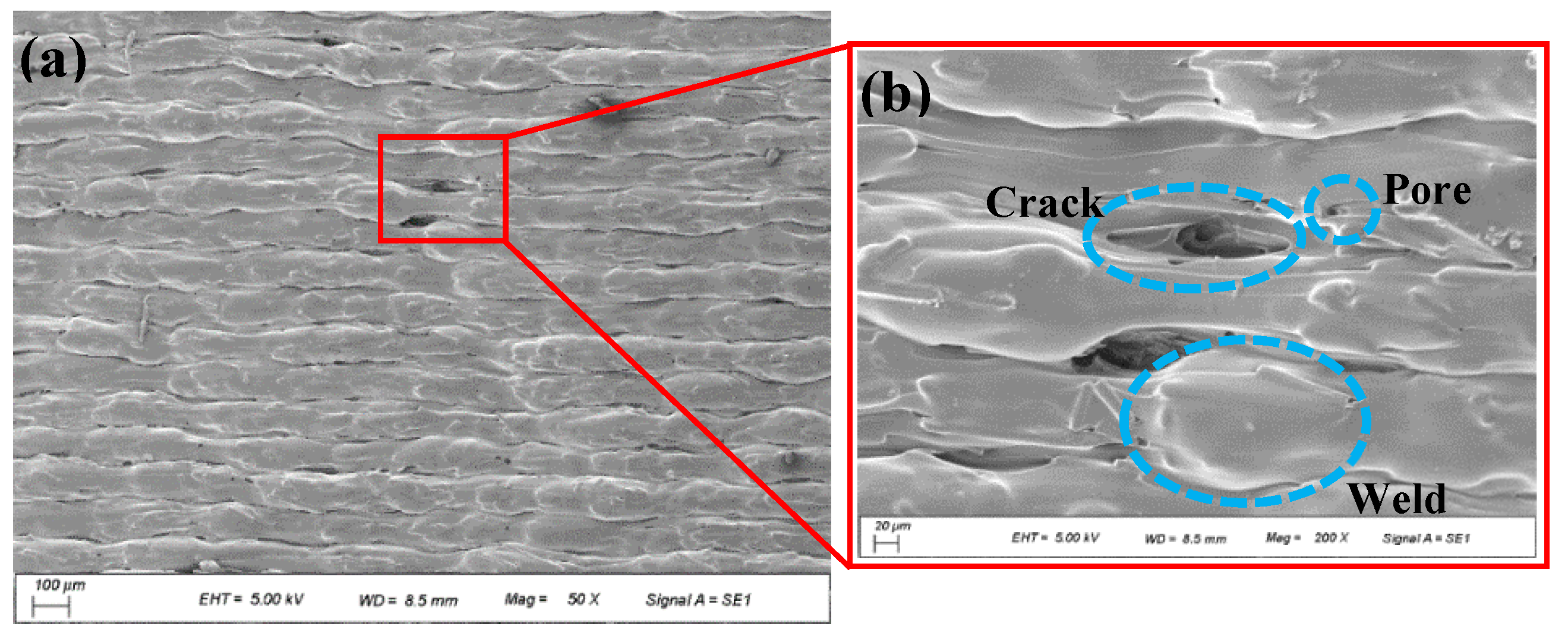 Polymers 15 04283 g009