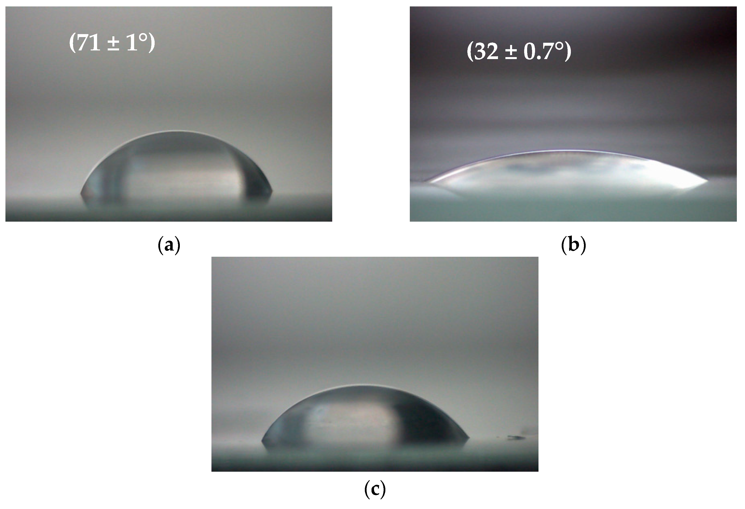 Polymers 15 04289 g005 Polymers 15 04289 g005