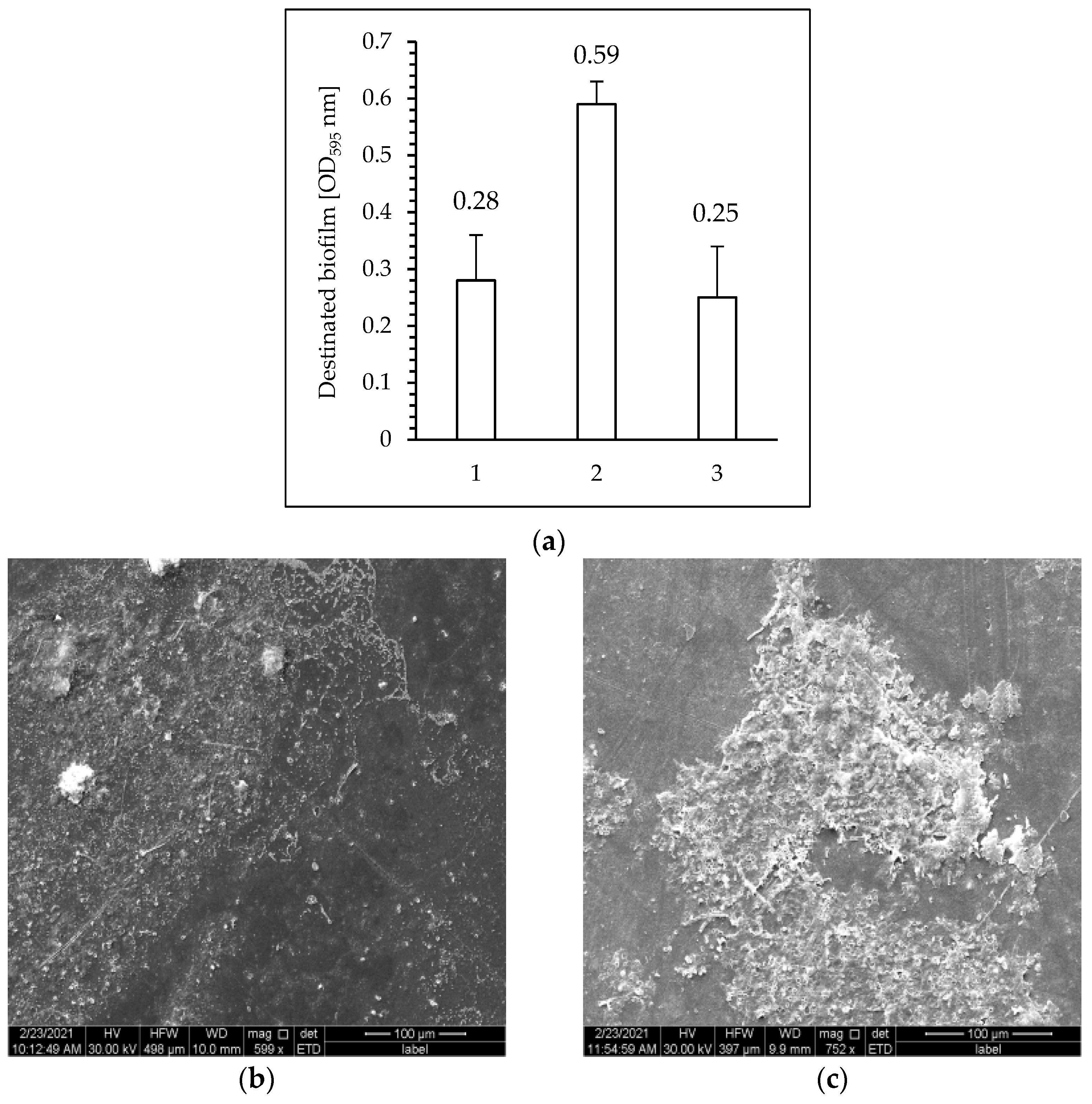 Polymers 15 04289 g008 Polymers 15 04289 g008