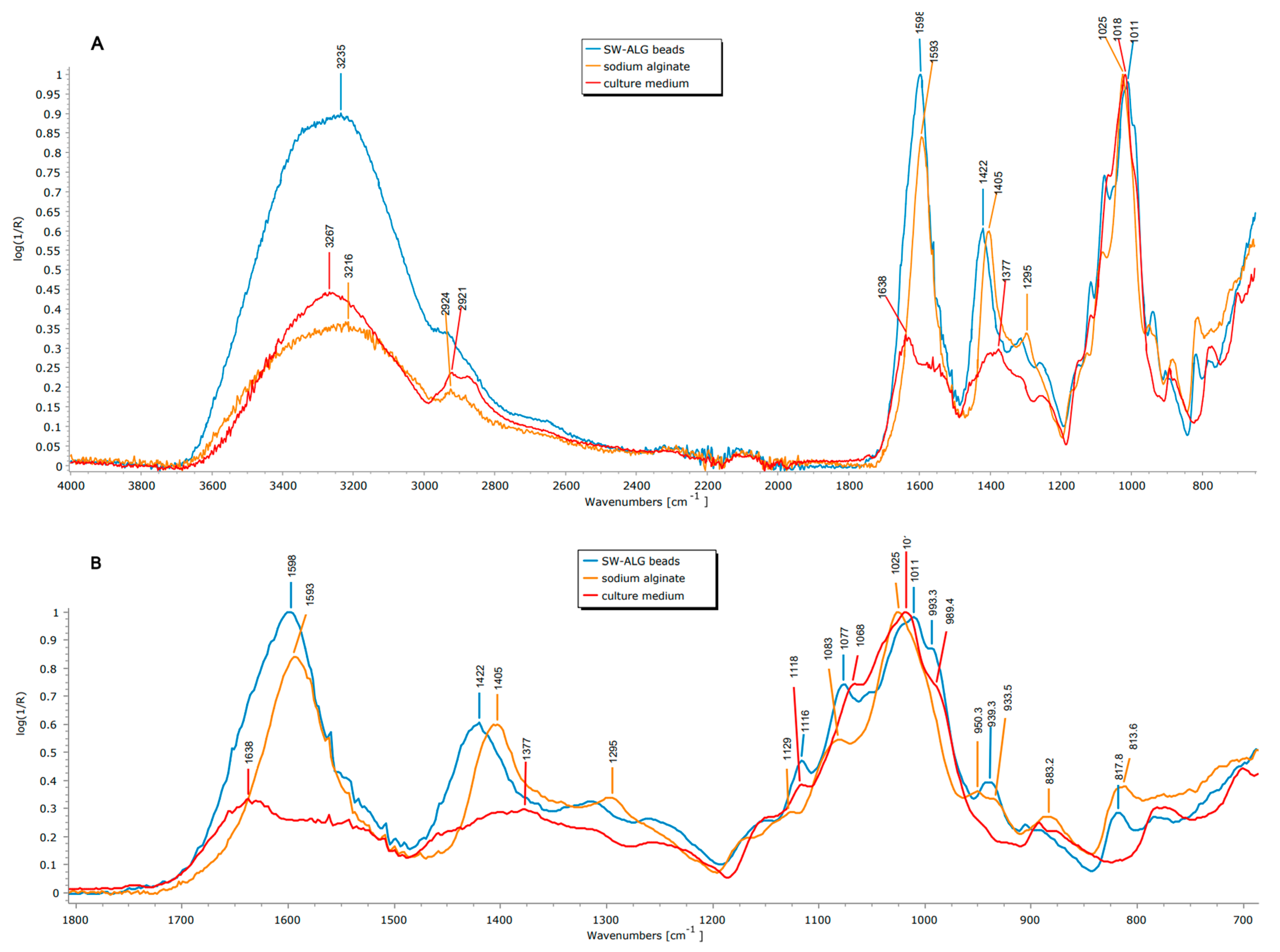 Polymers 15 04296 g002 Polymers 15 04296 g002