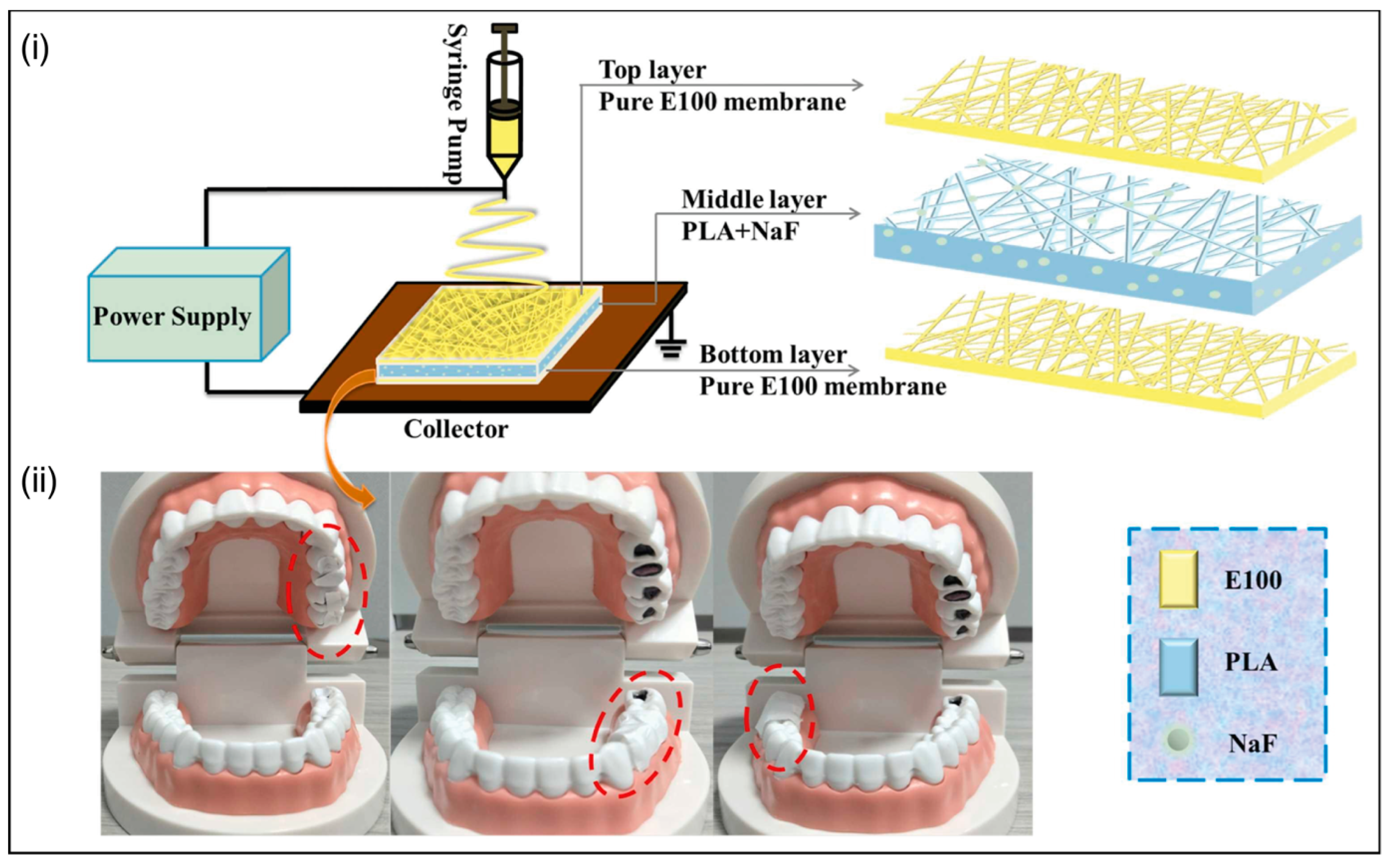 Polymers 15 04299 g002