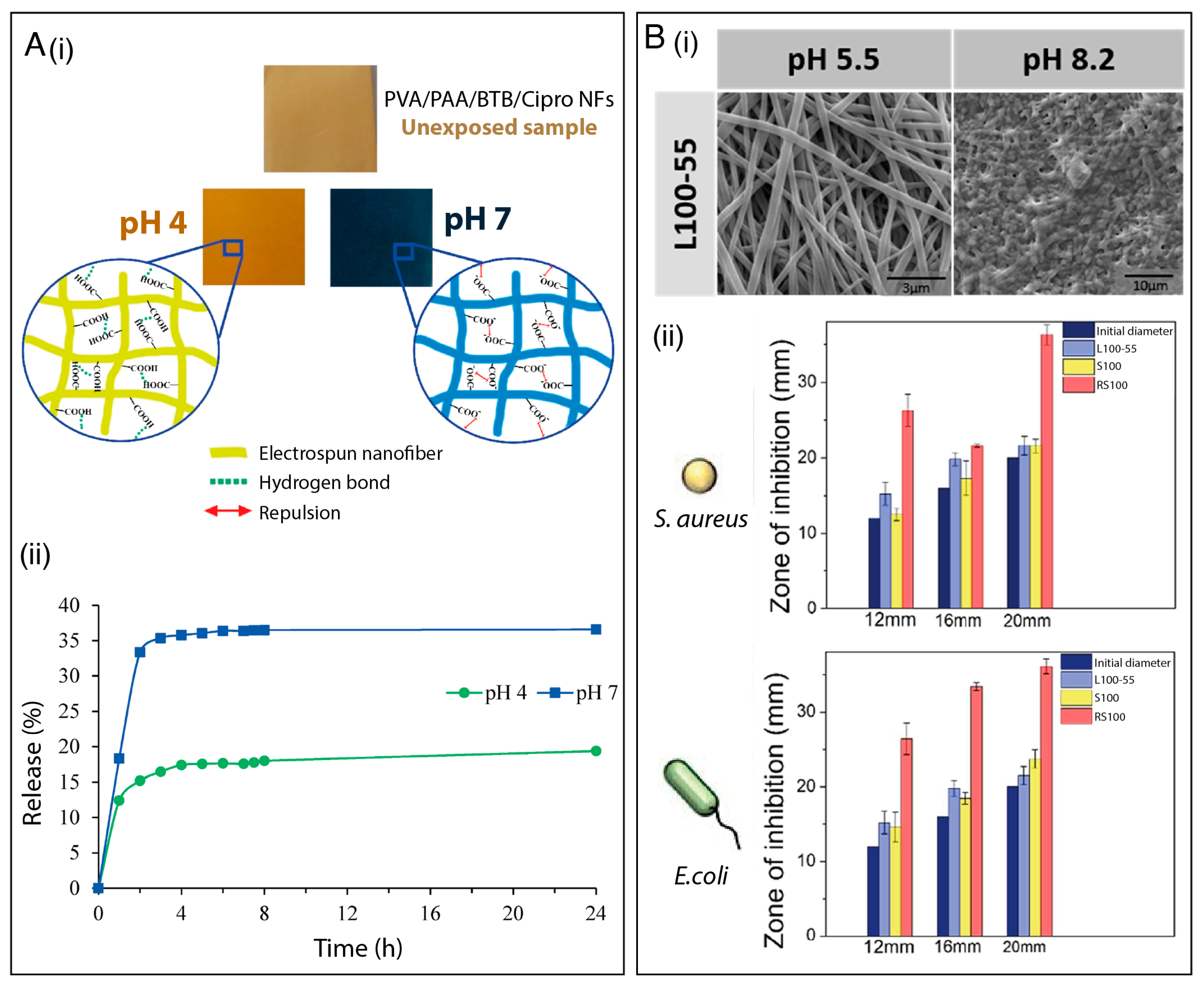 Polymers 15 04299 g003