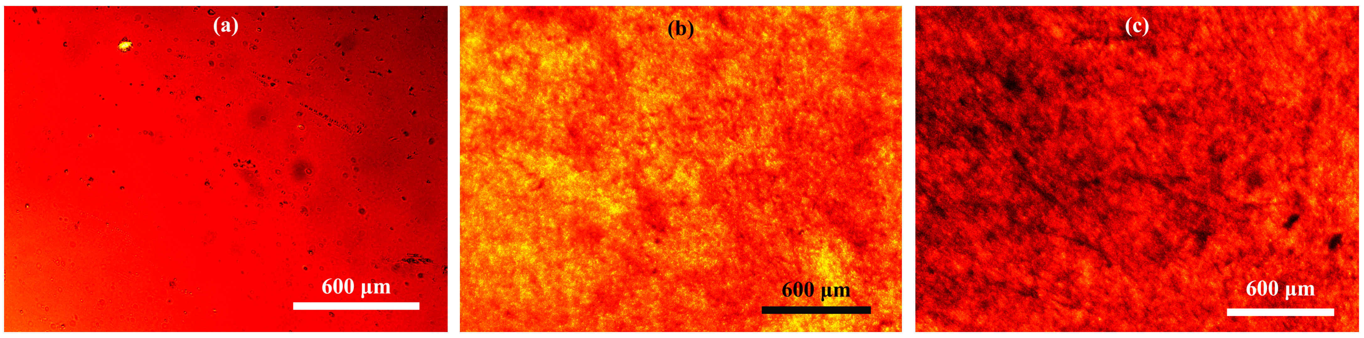 Polymers 15 04313 g001