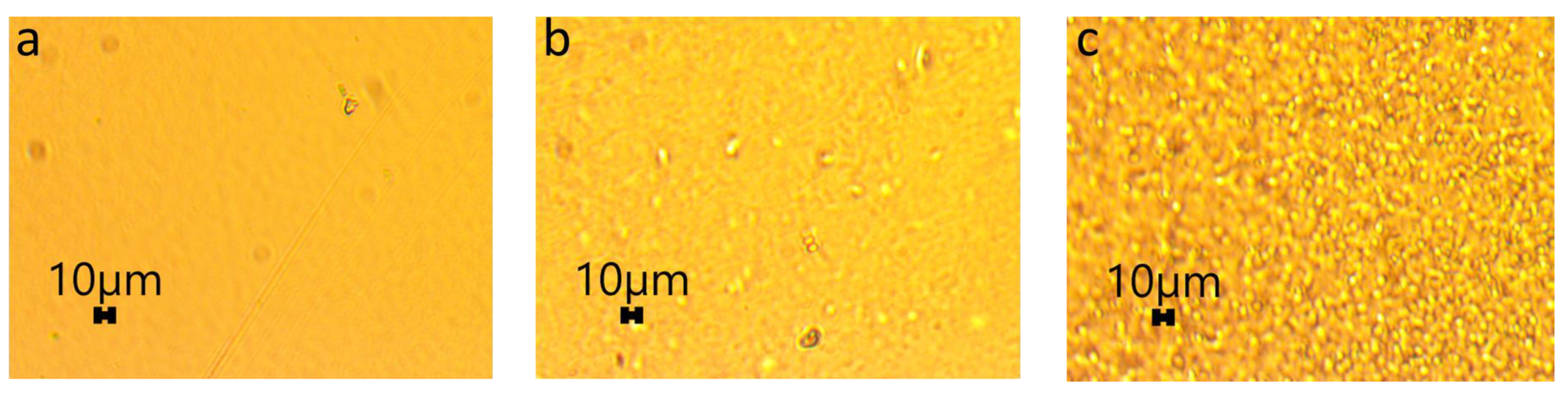 Polymers 15 04321 g005