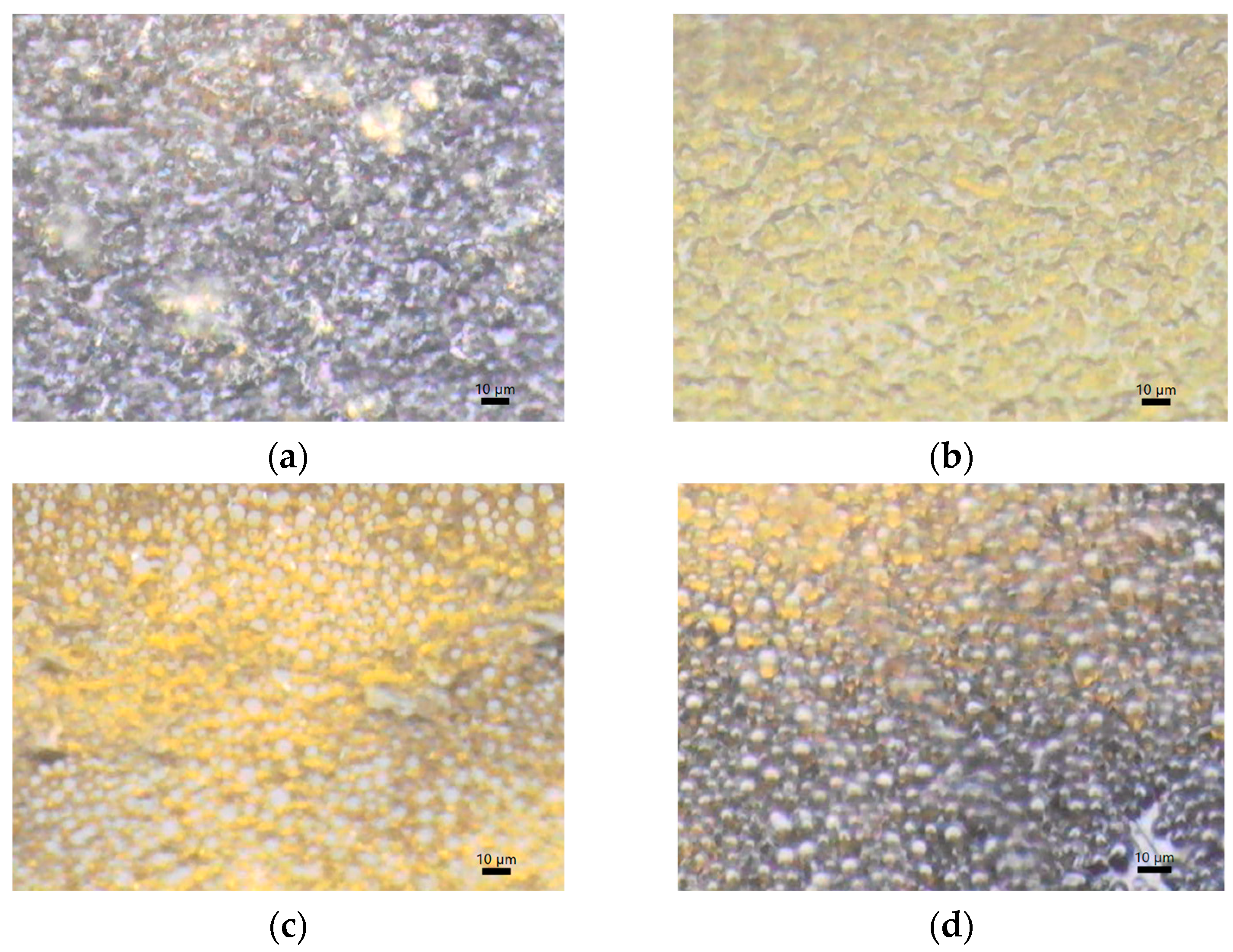 Polymers 15 04325 g009