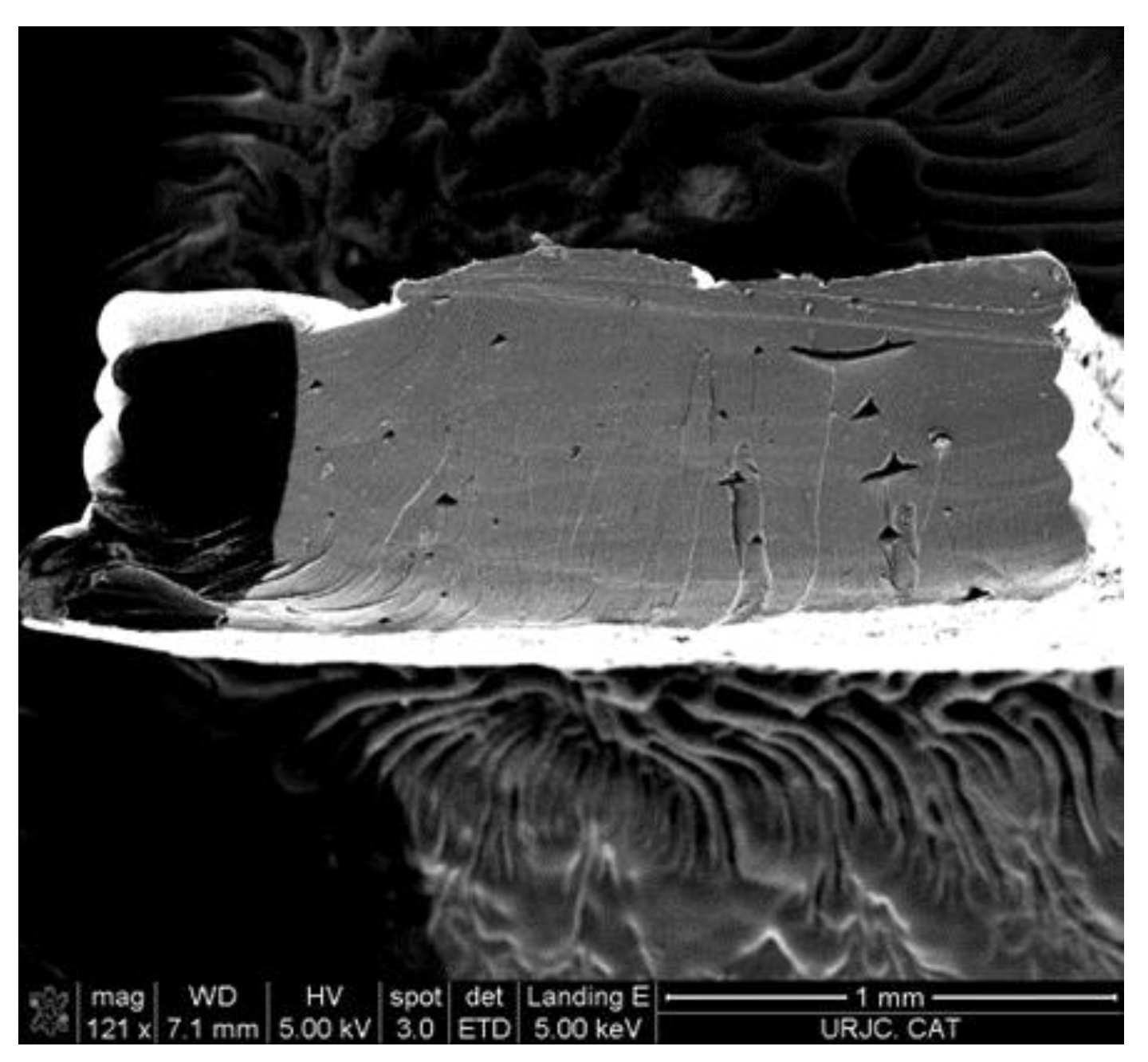 Polymers 15 04326 g005
