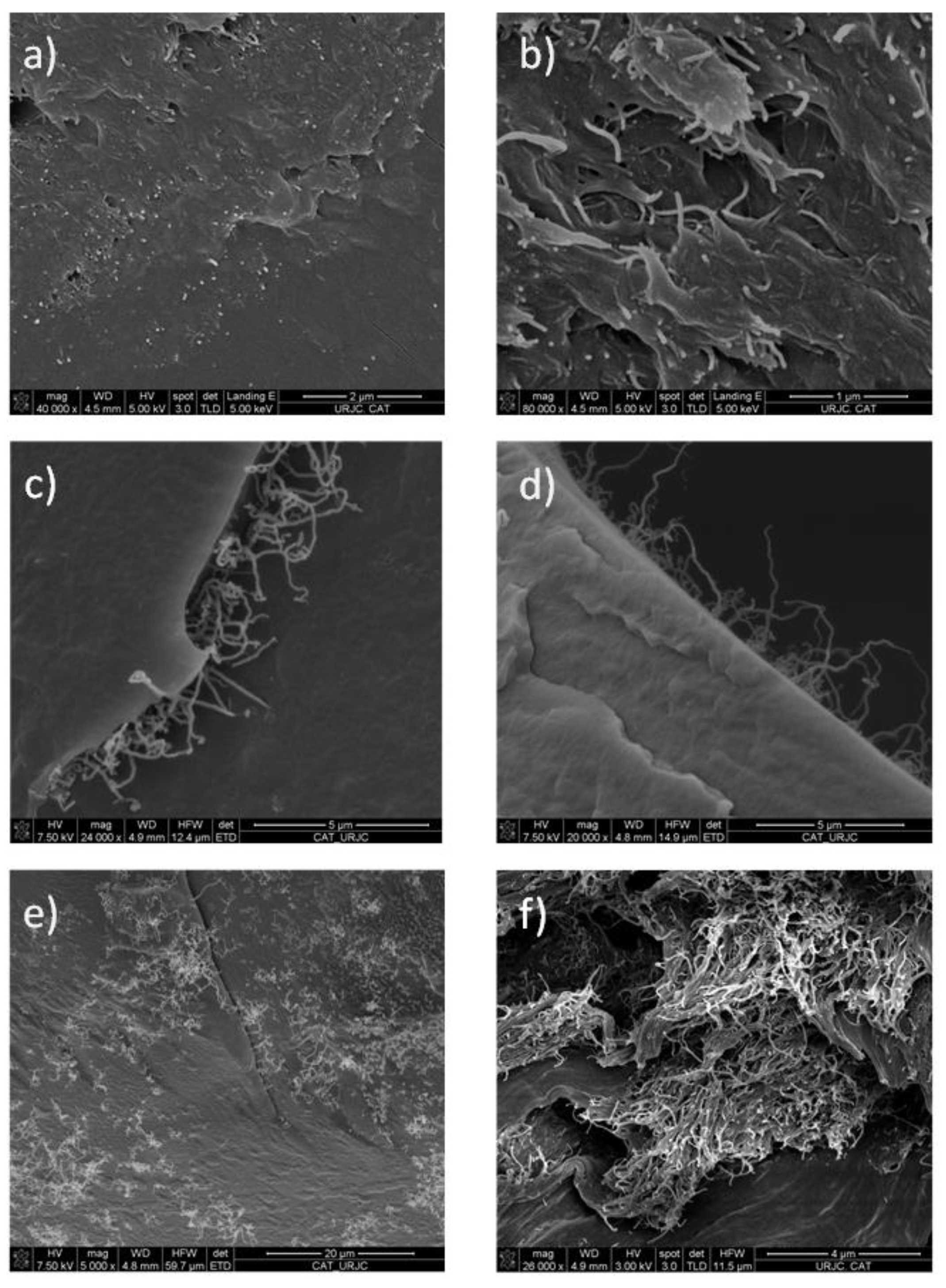 Polymers 15 04326 g006