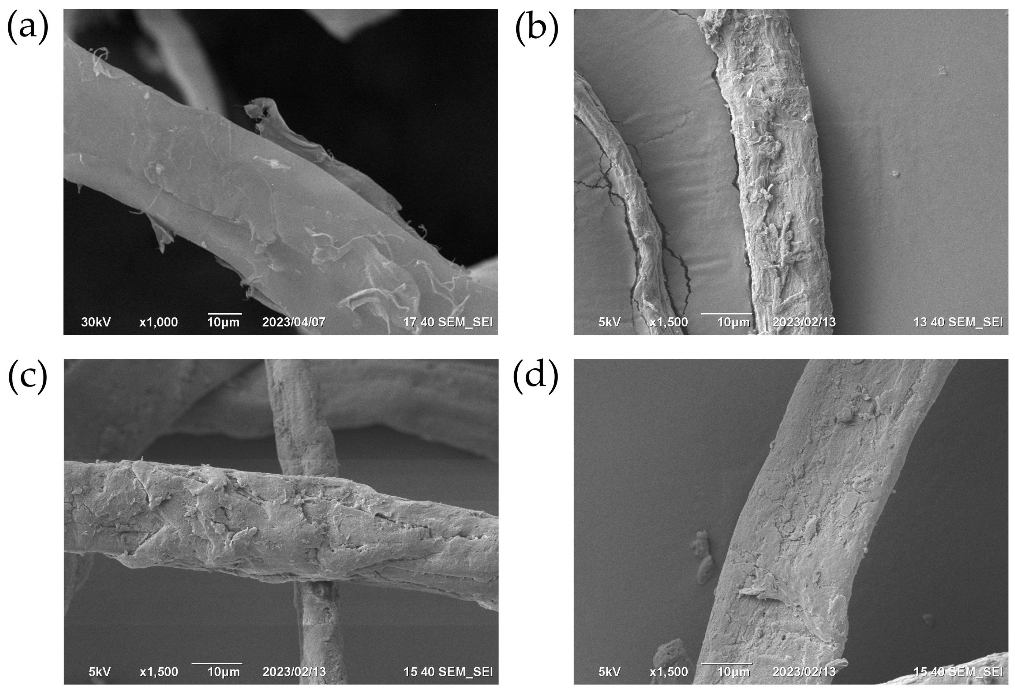 Polymers 15 04328 g004