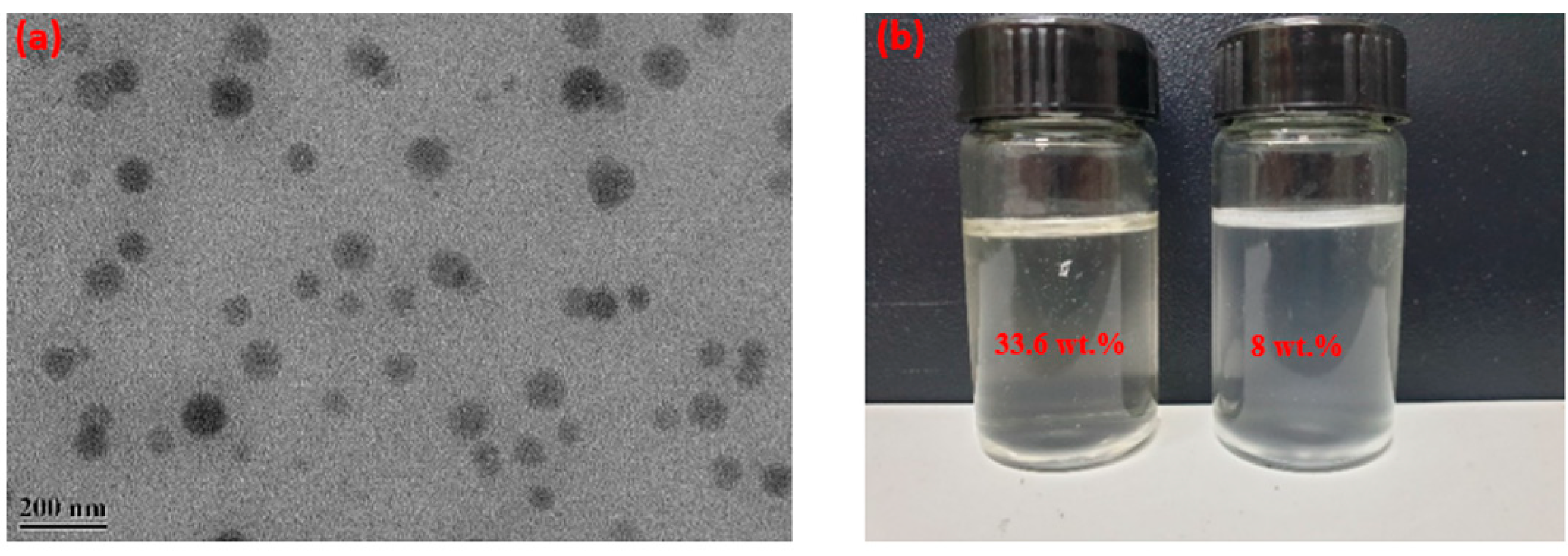Polymers 15 04331 g001