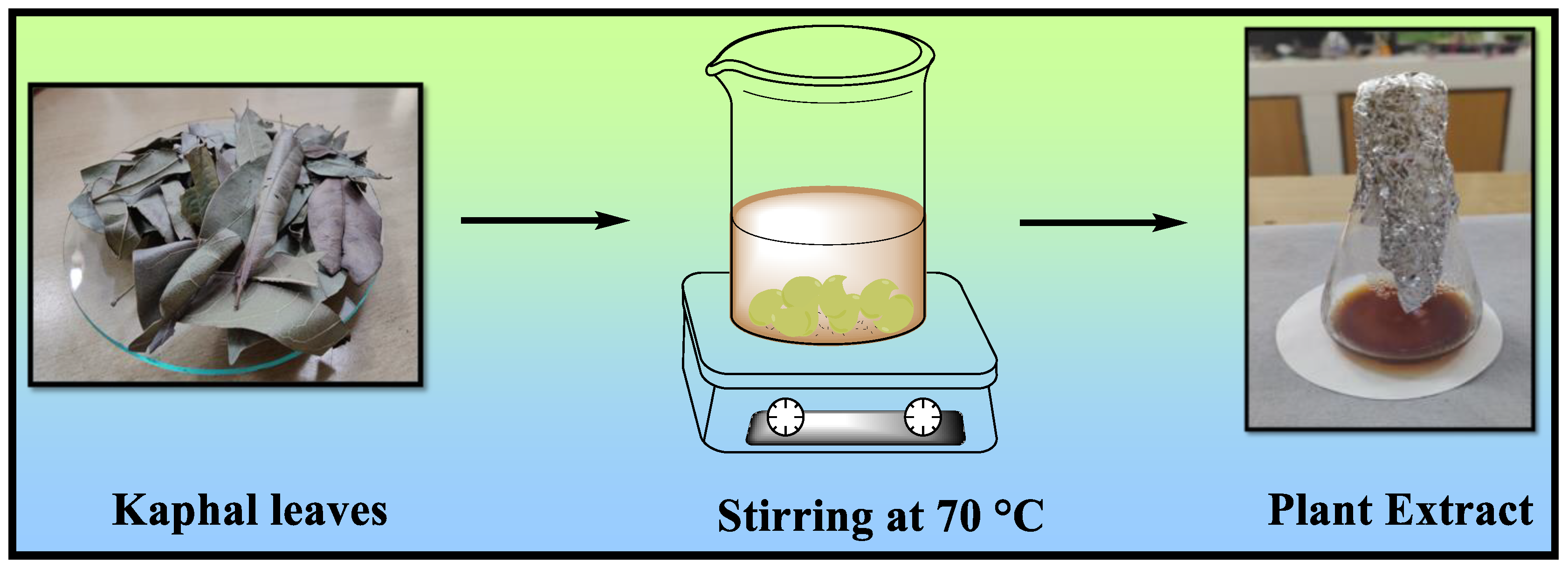 Polymers 15 04339 g002