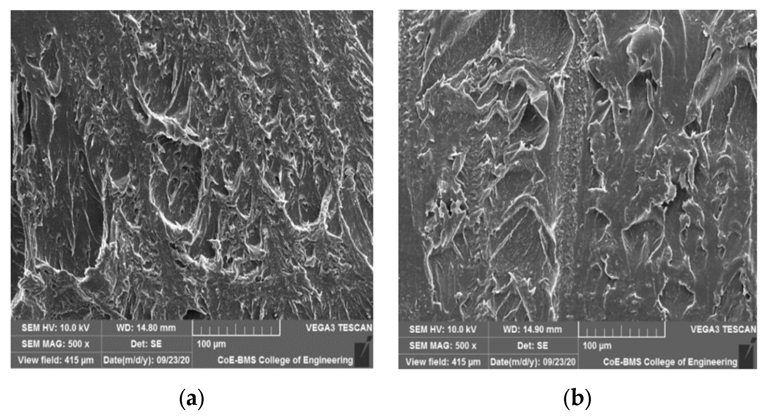 Polymers 15 04368 g005