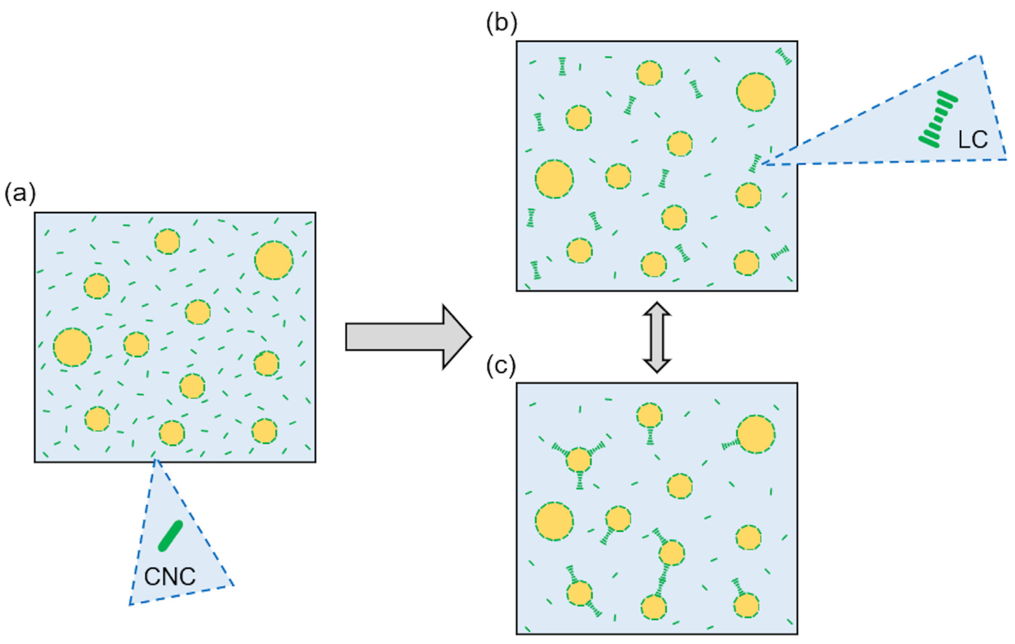 Polymers 15 04371 g008