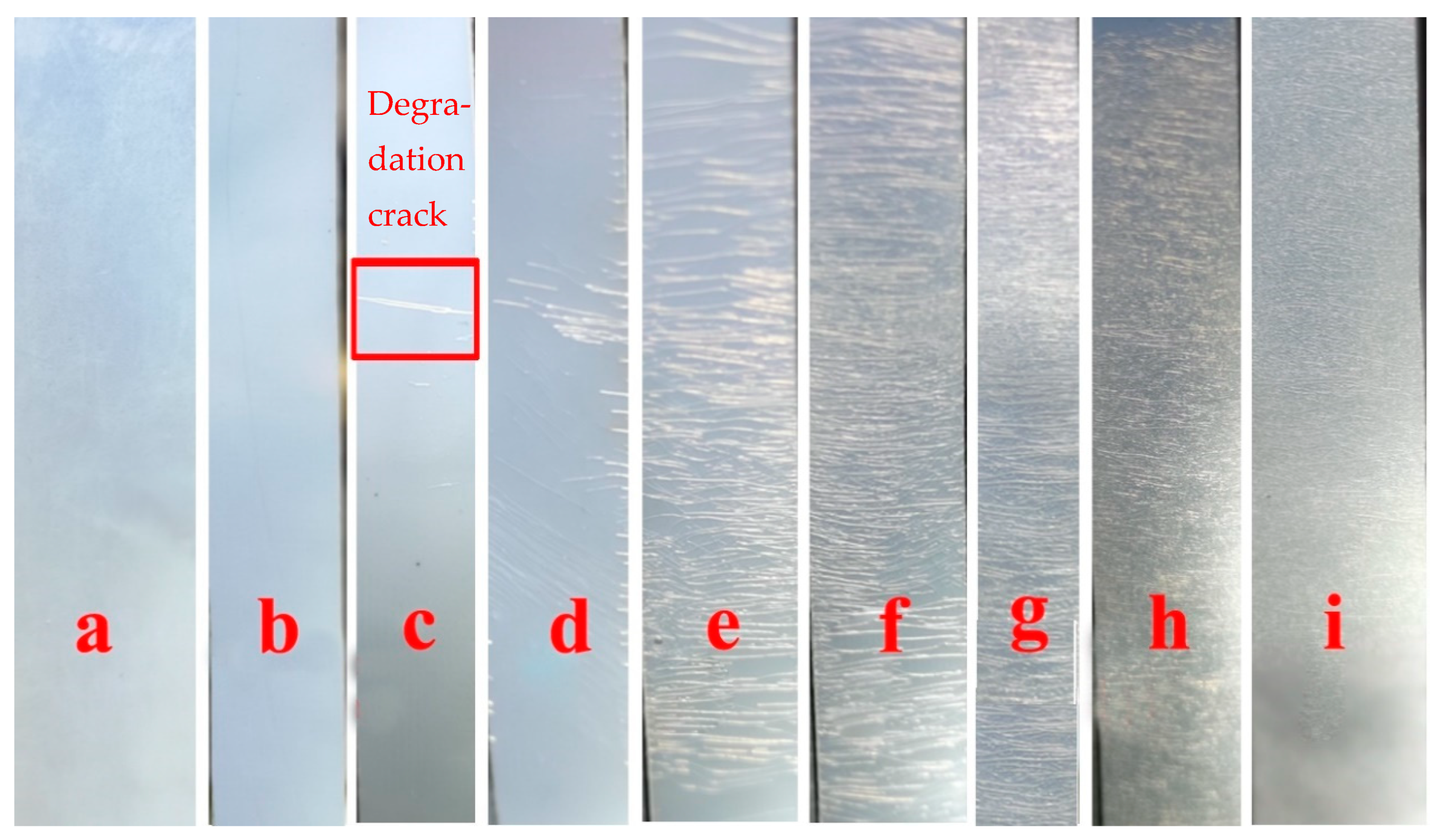 Polymers 15 04372 g007