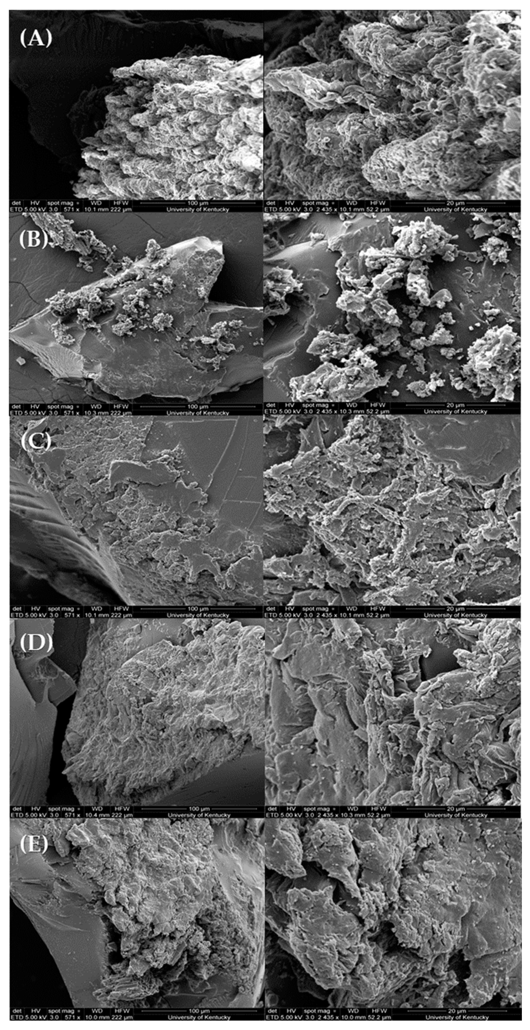 Polymers 15 04384 g005