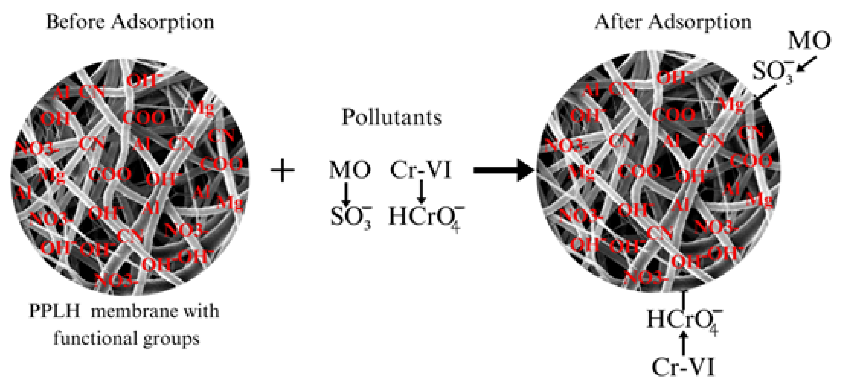 Polymers 15 04388 g013