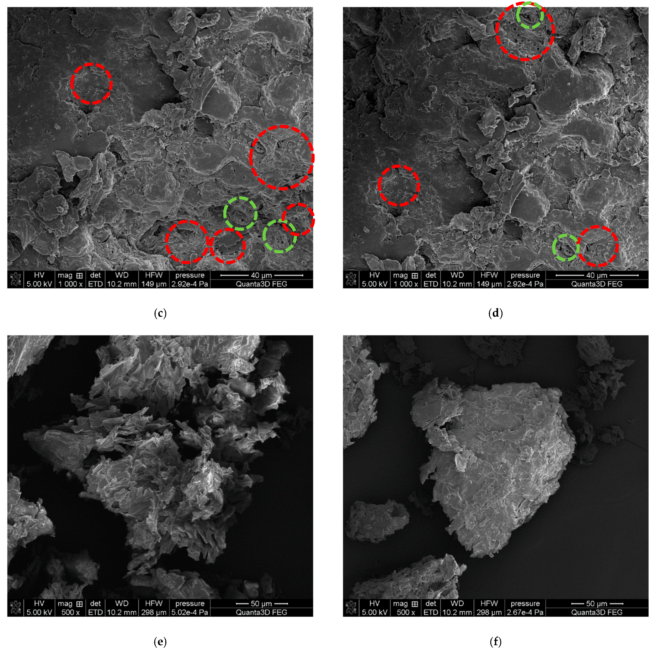 Polymers 15 04389 g003b