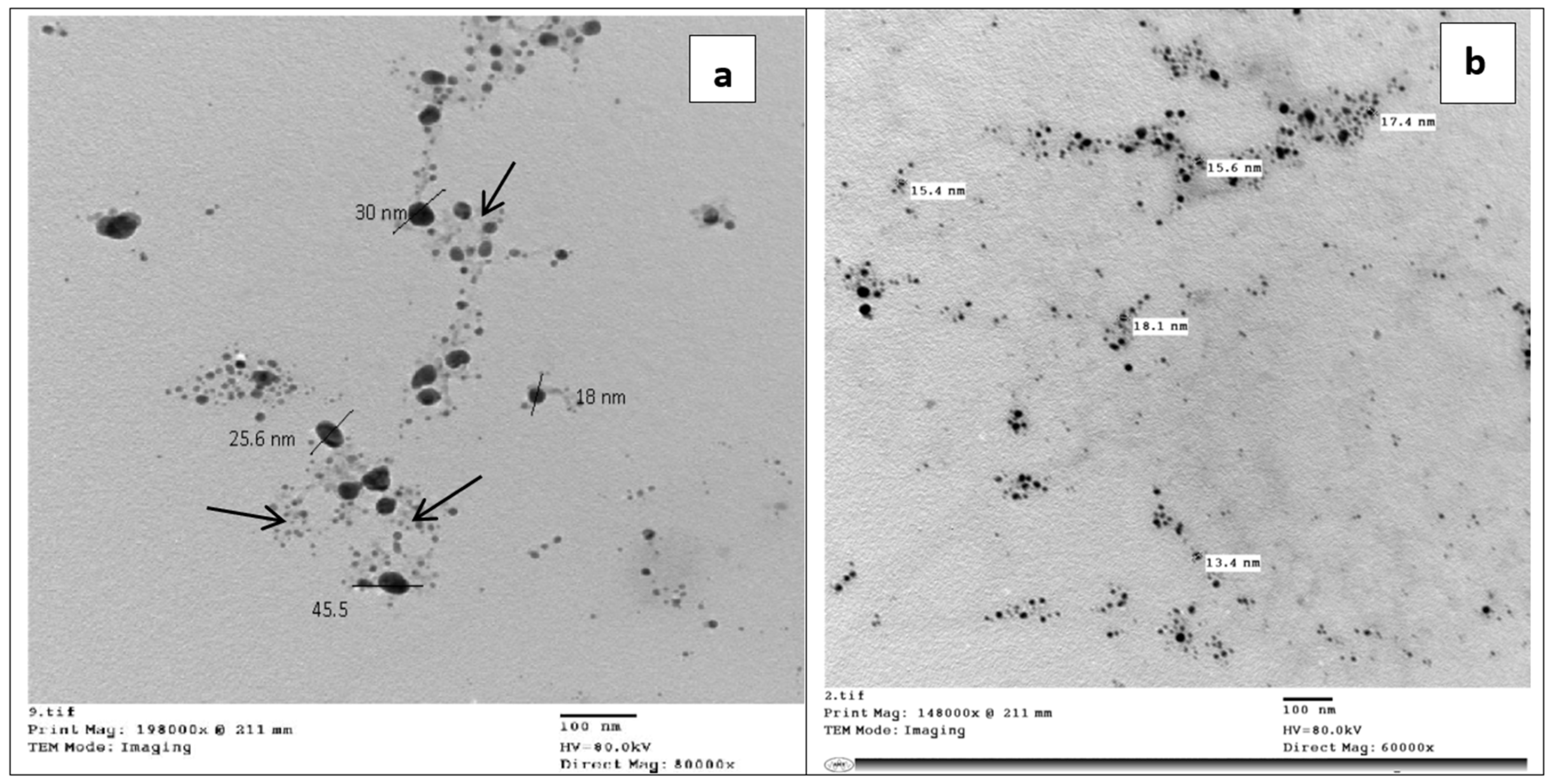 Polymers 15 04394 g003