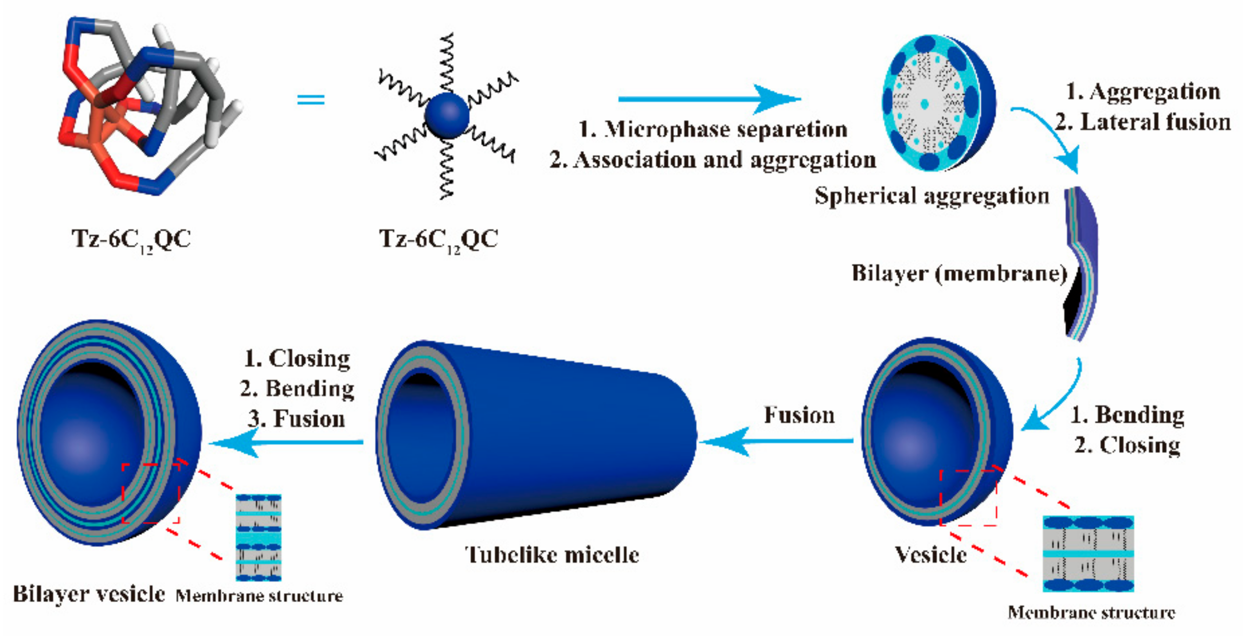 Polymers 15 04396 g009