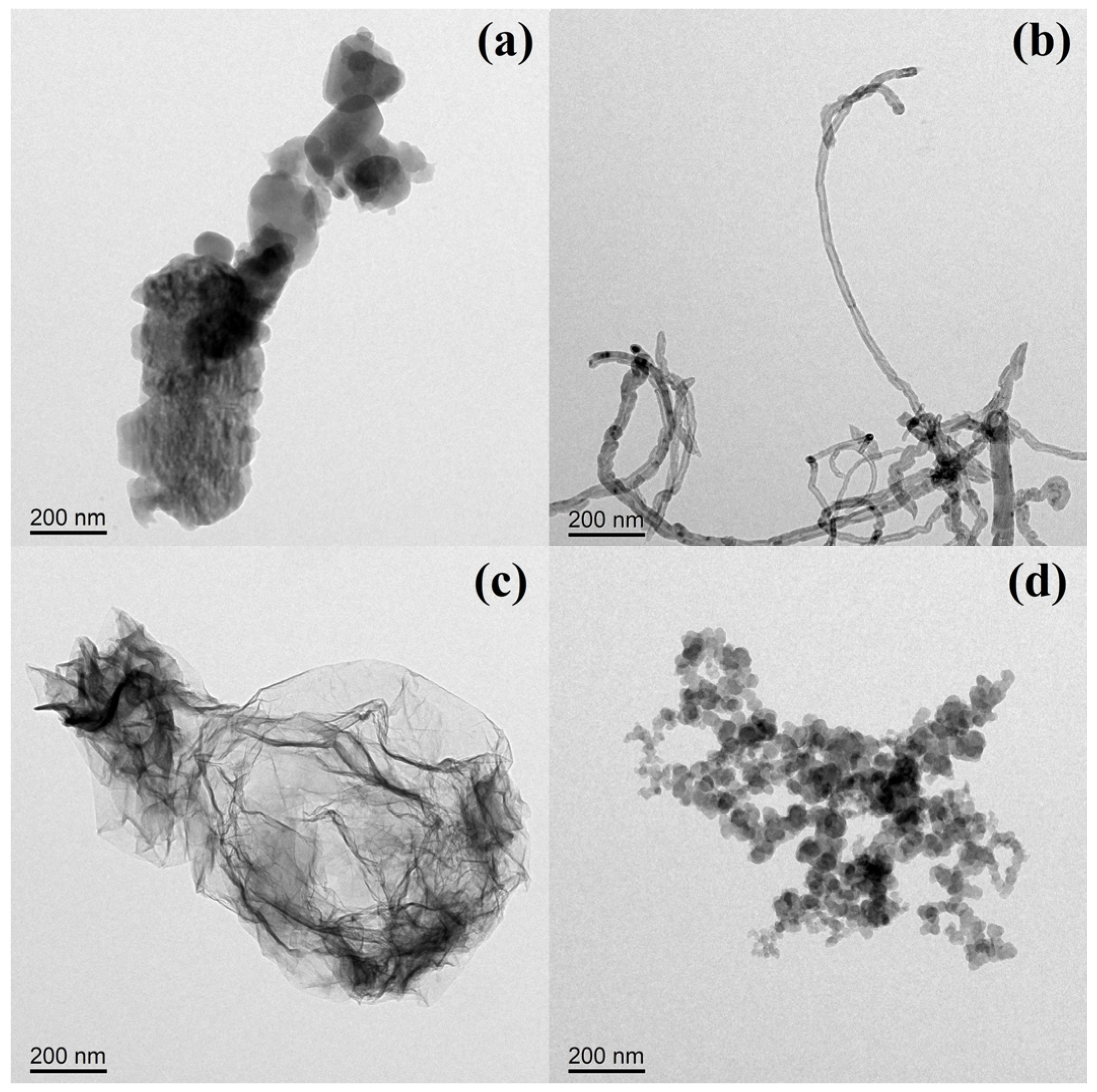 Polymers 15 04415 g003