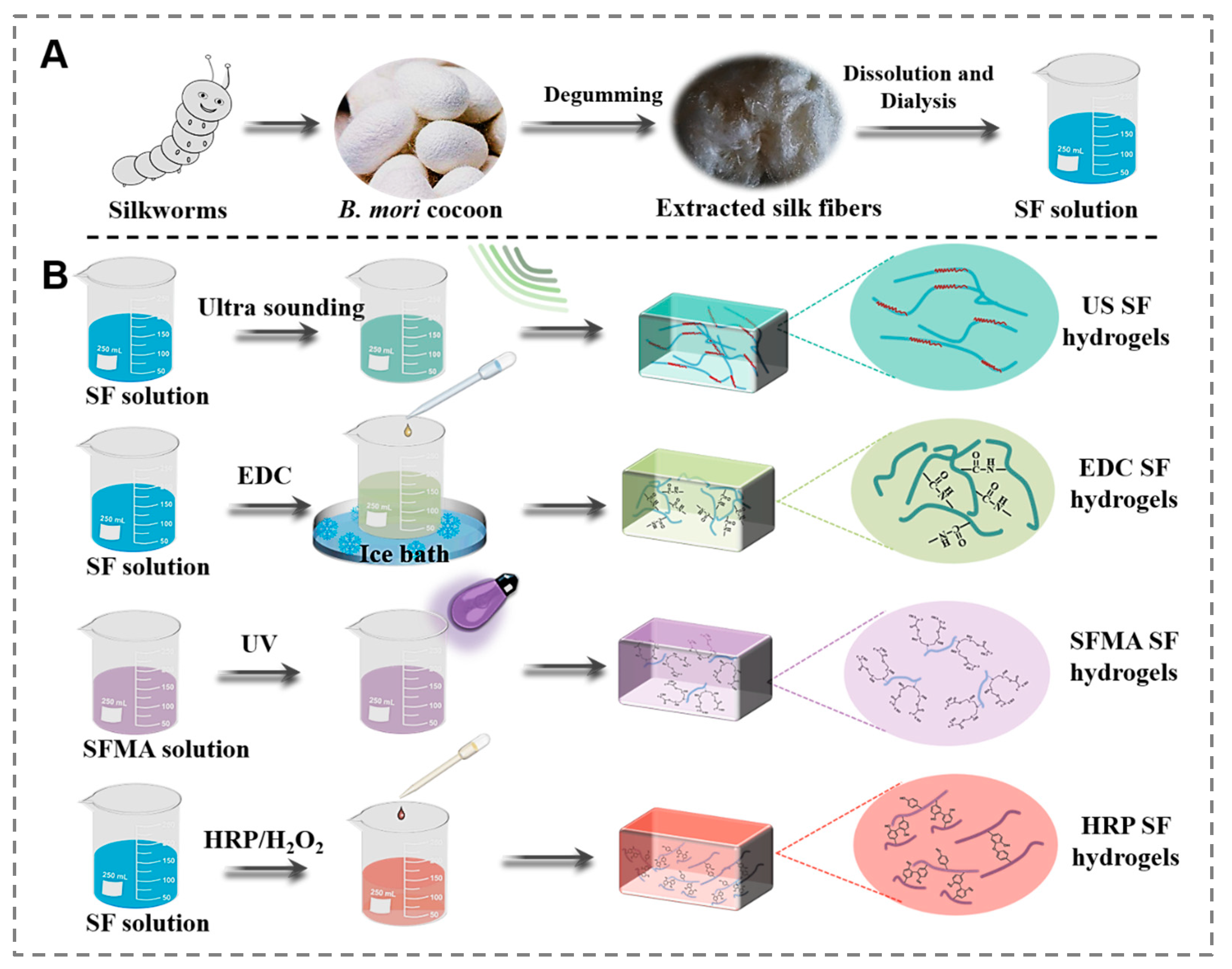 Polymers 15 04419 g001