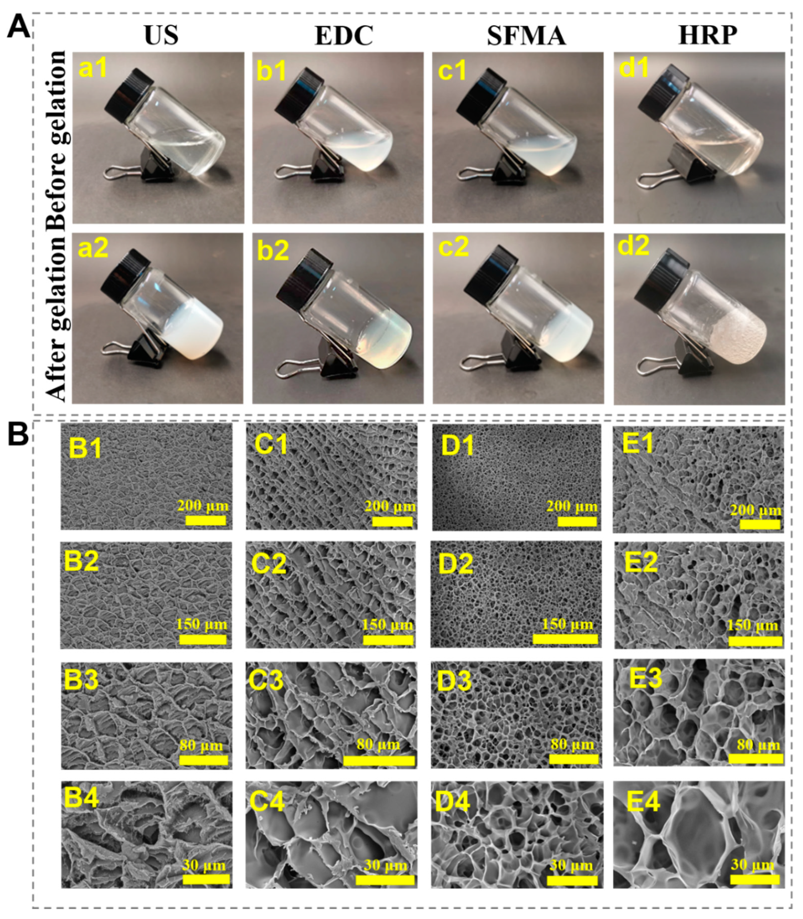 Polymers 15 04419 g002