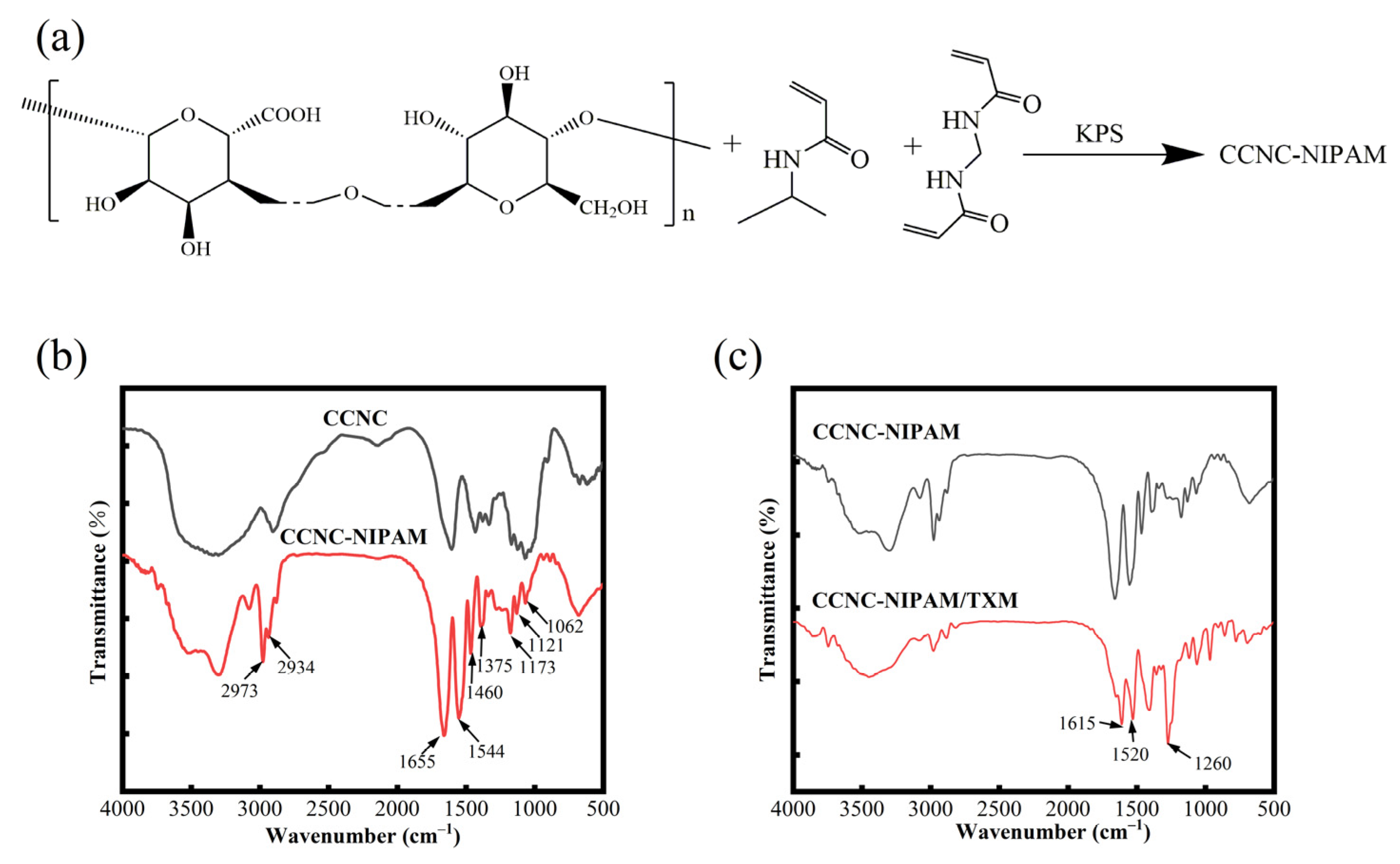 Polymers 15 04451 g004