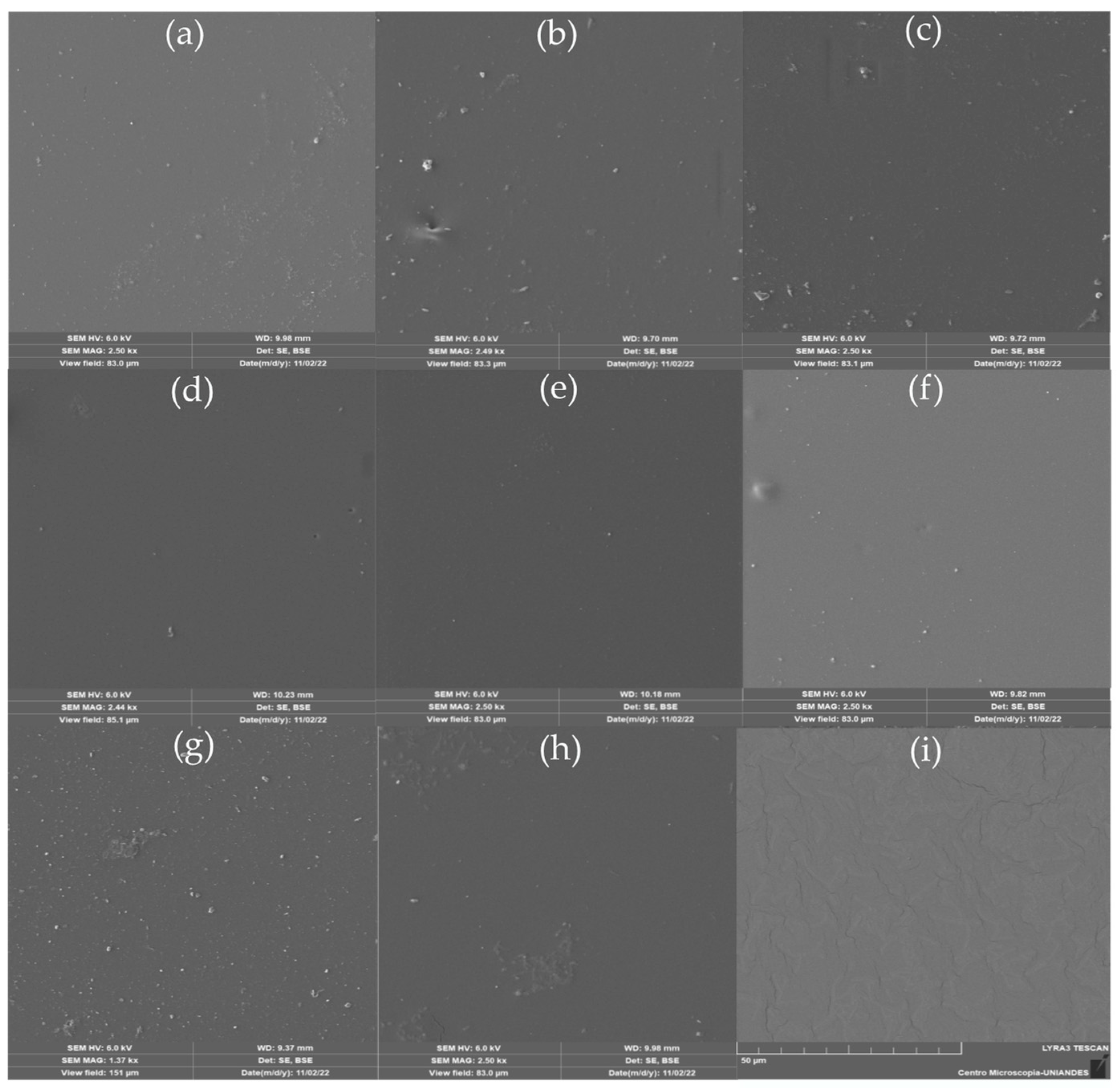 Polymers 15 04456 g002