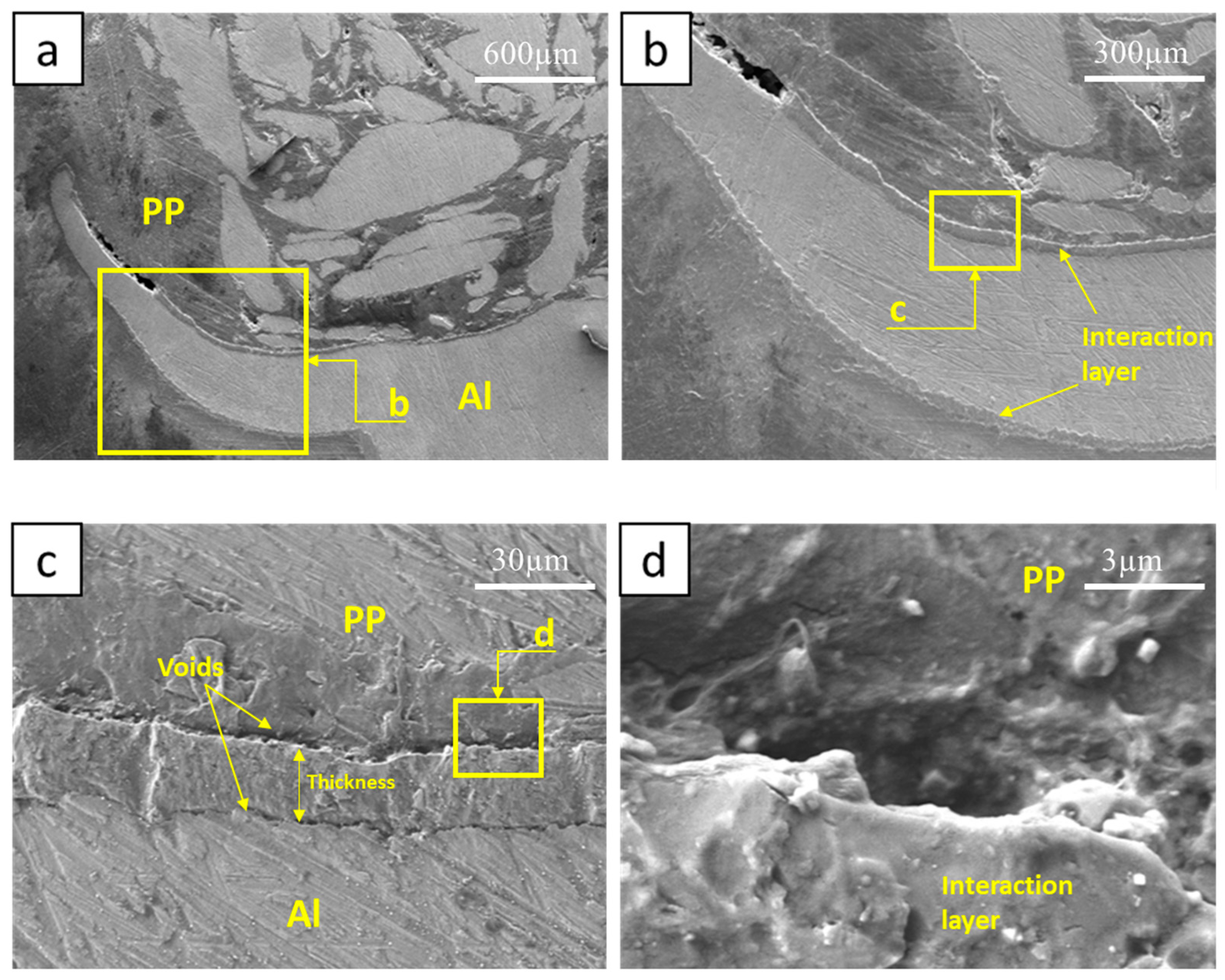 Polymers 15 04481 g010