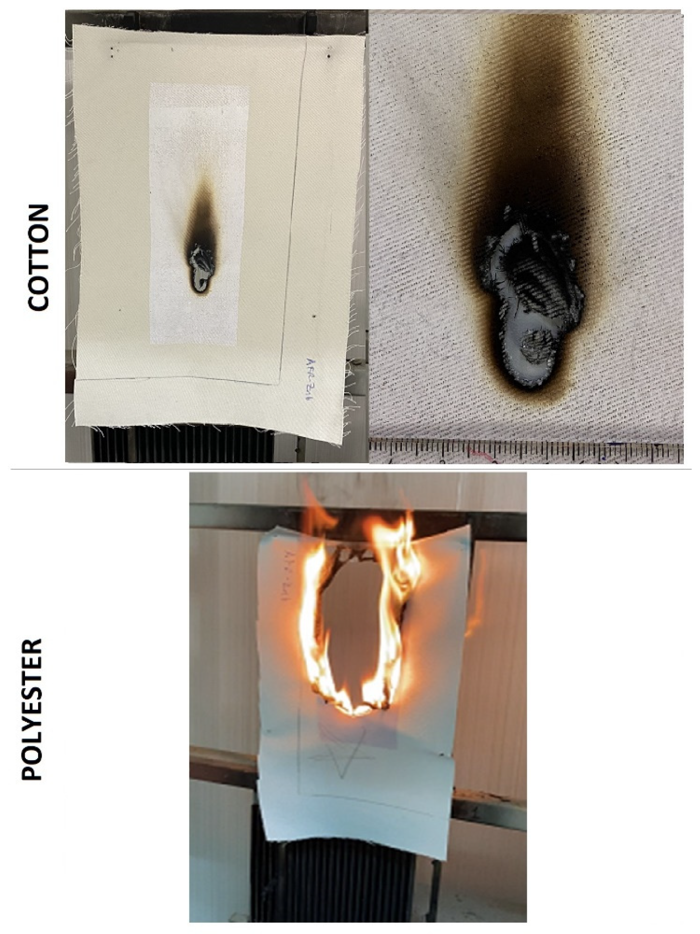 Polymers 15 04496 g010