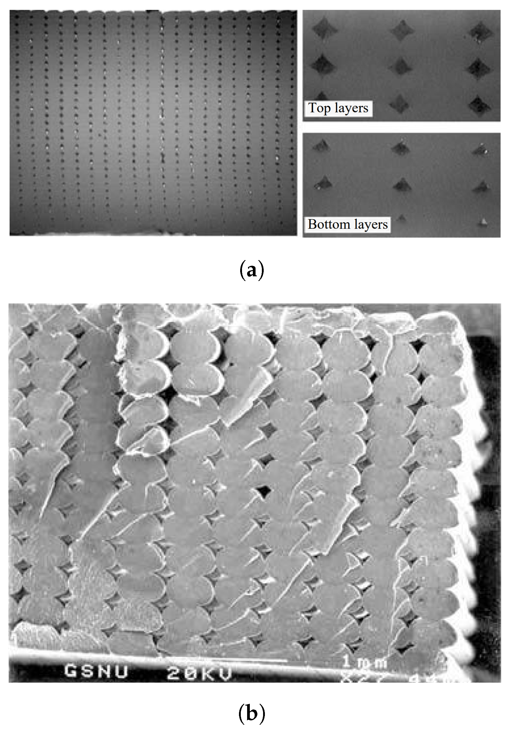 Polymers 15 04497 g002