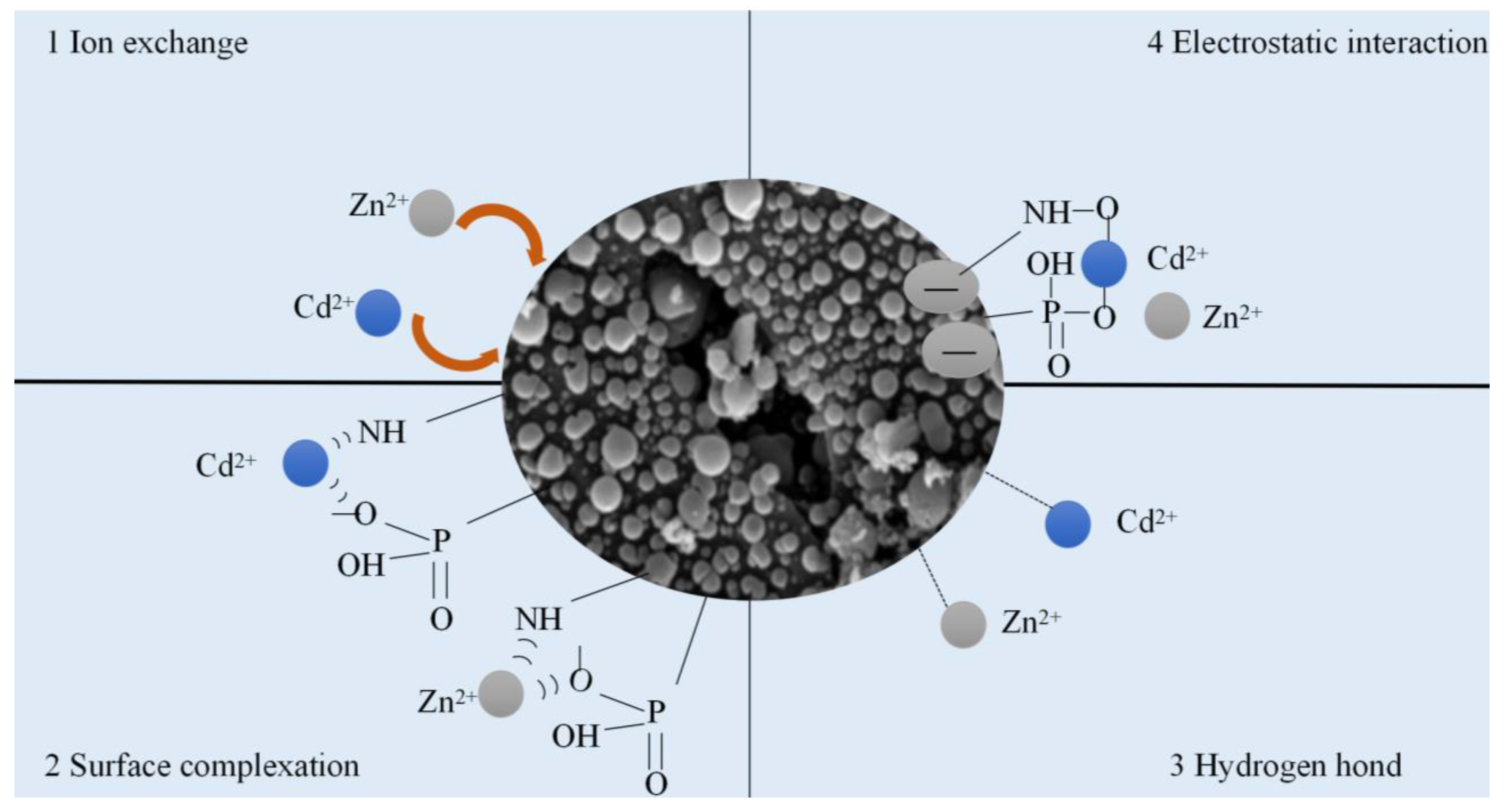 Polymers 15 04548 g009 Polymers 15 04548 g009