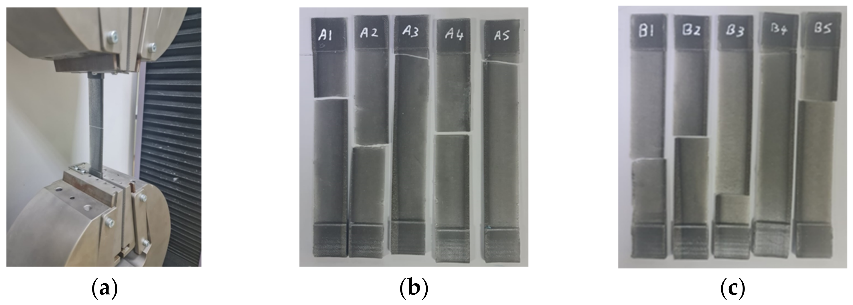 Polymers 15 04551 g008