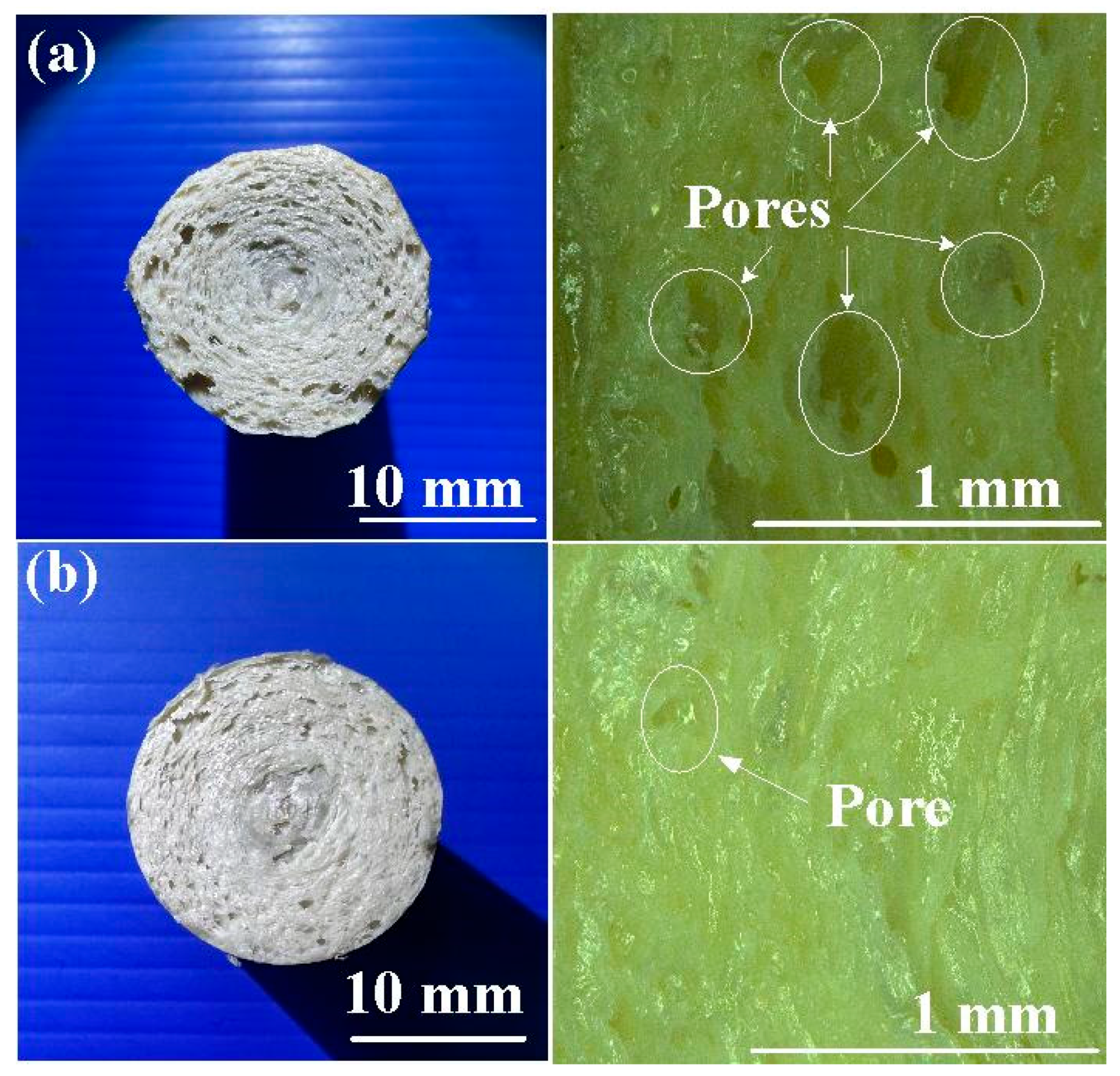 Polymers 15 04552 g016