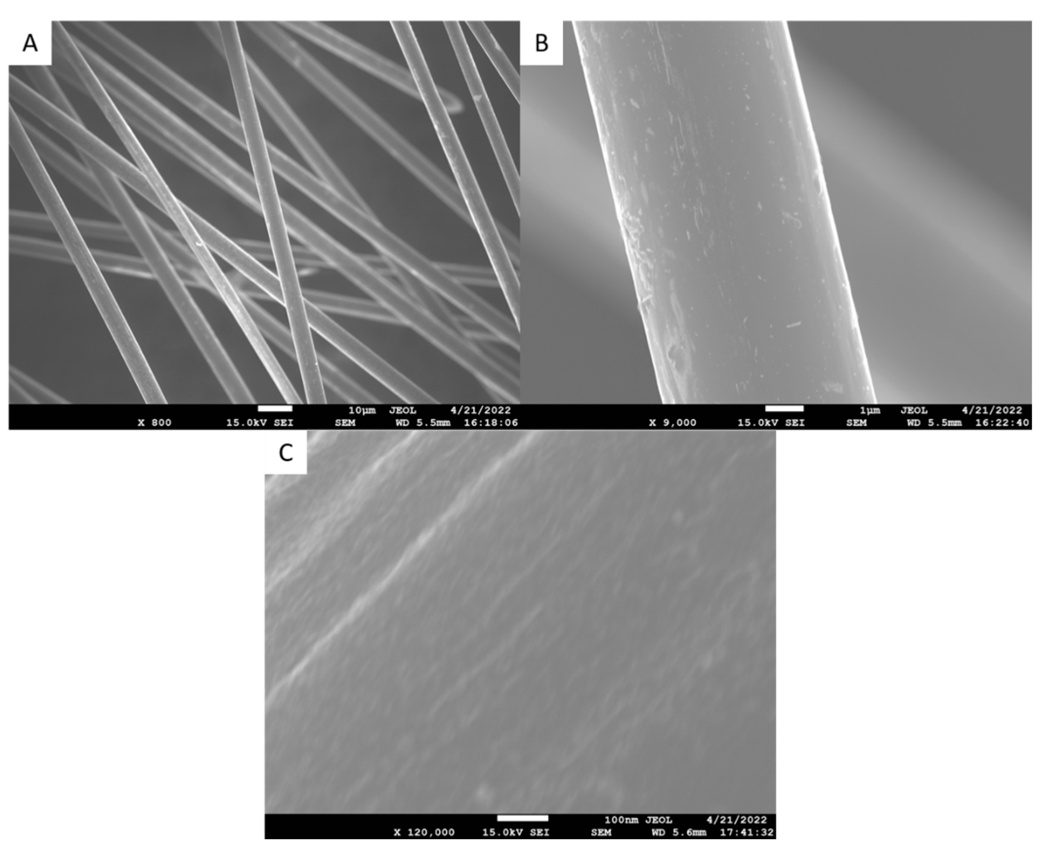 Polymers 15 04556 g006