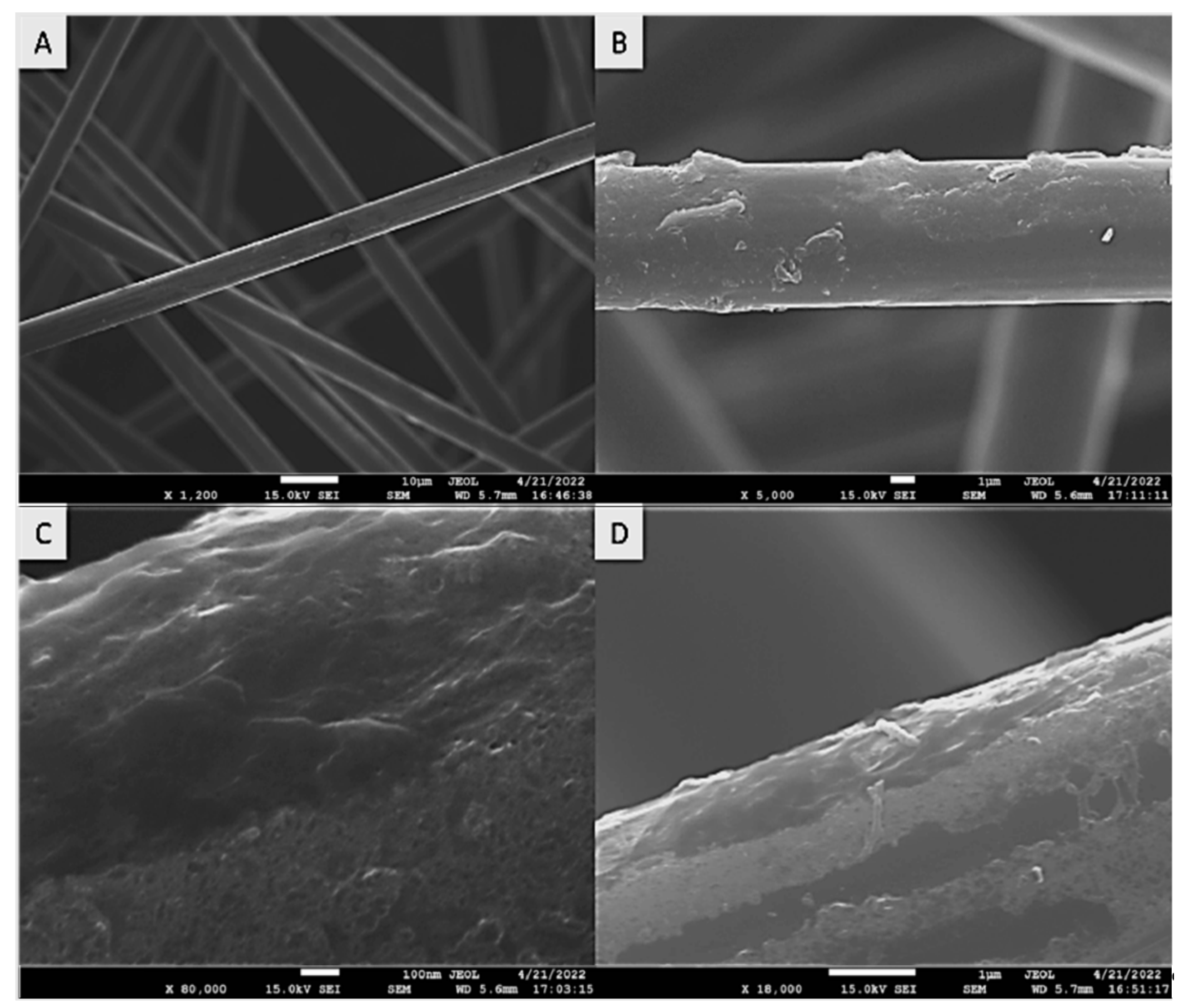 Polymers 15 04556 g007