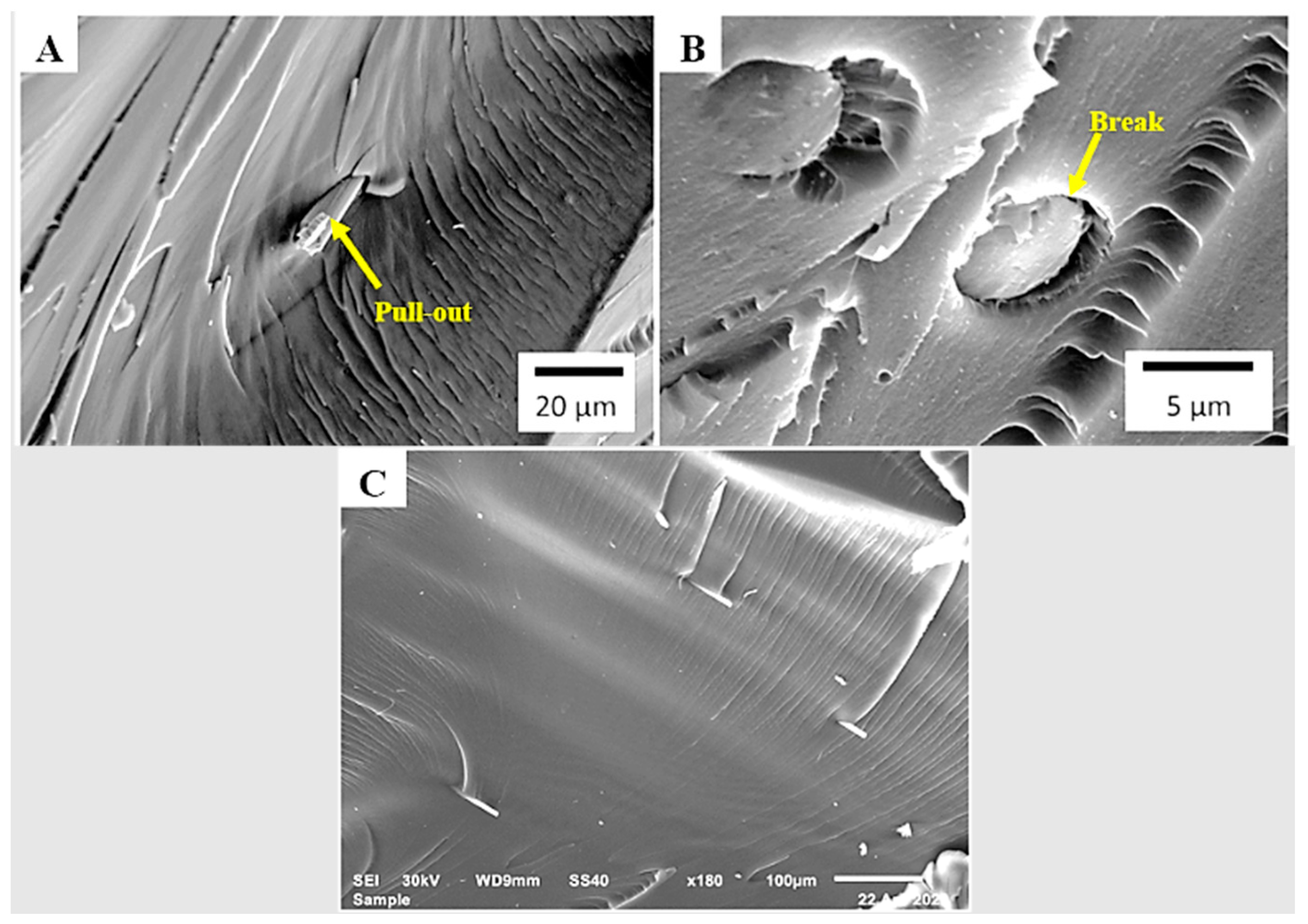 Polymers 15 04556 g010