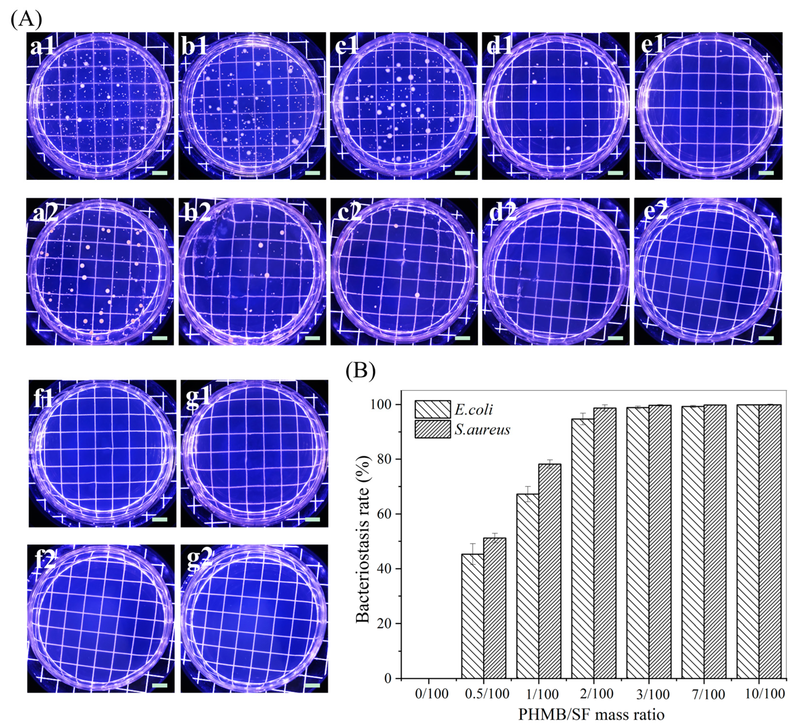 Polymers 15 04581 g005