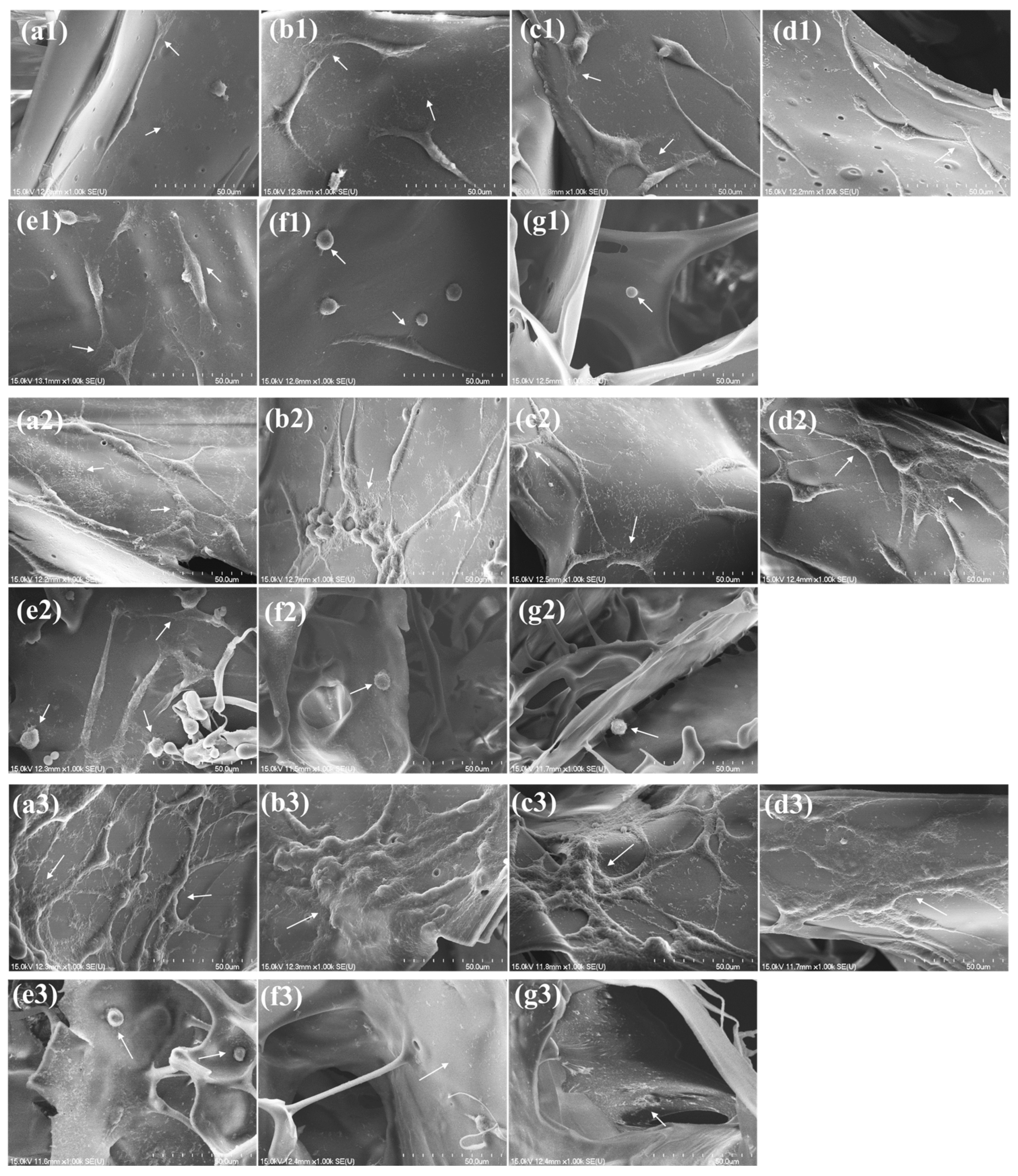 Polymers 15 04581 g006