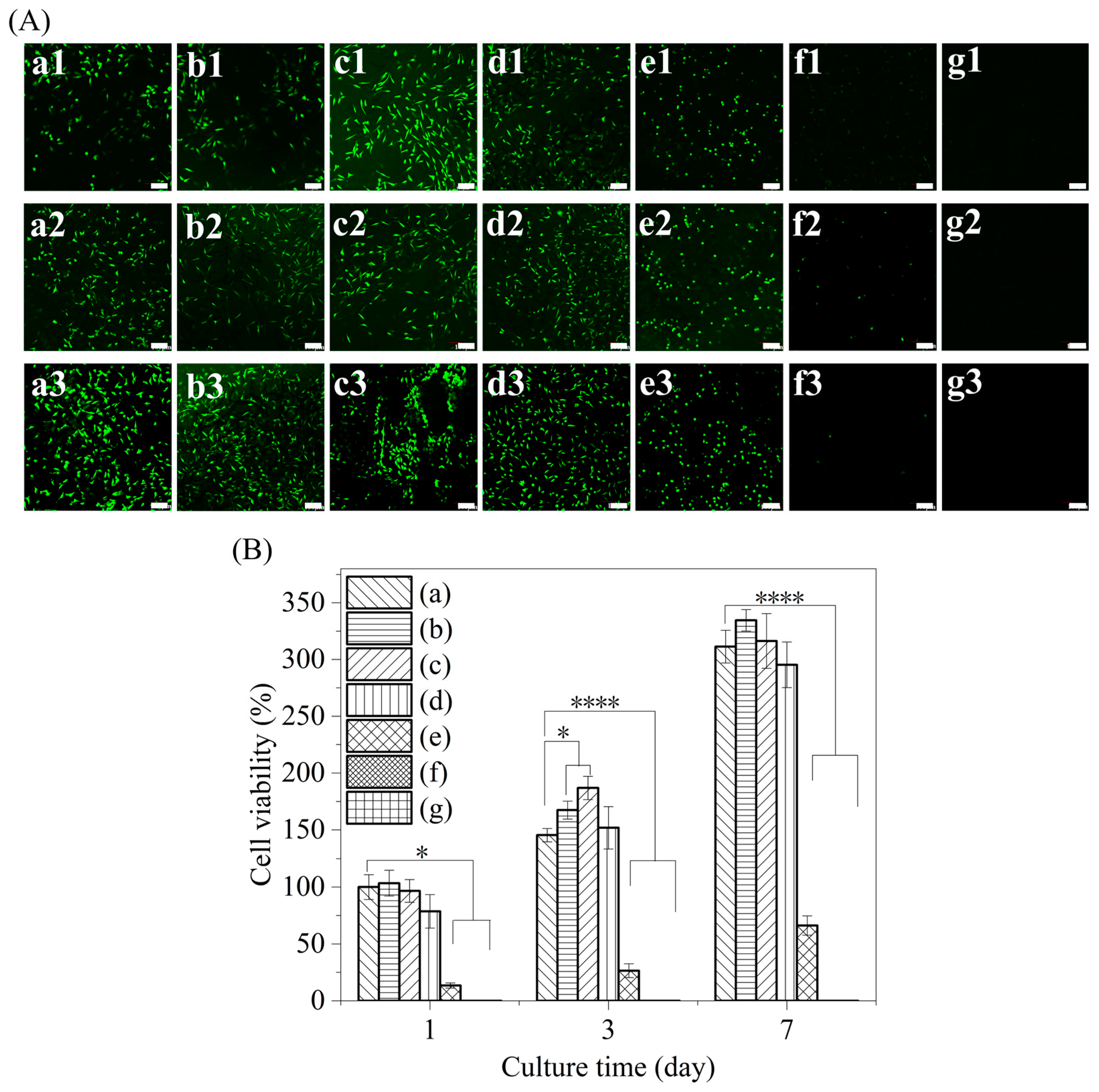 Polymers 15 04581 g007
