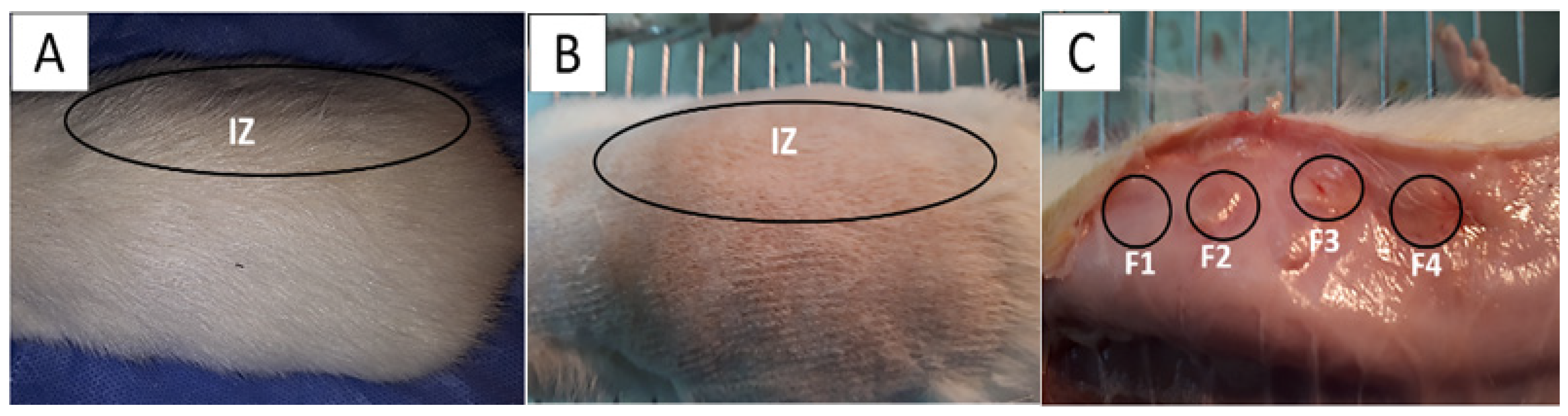 Polymers 15 04595 g006
