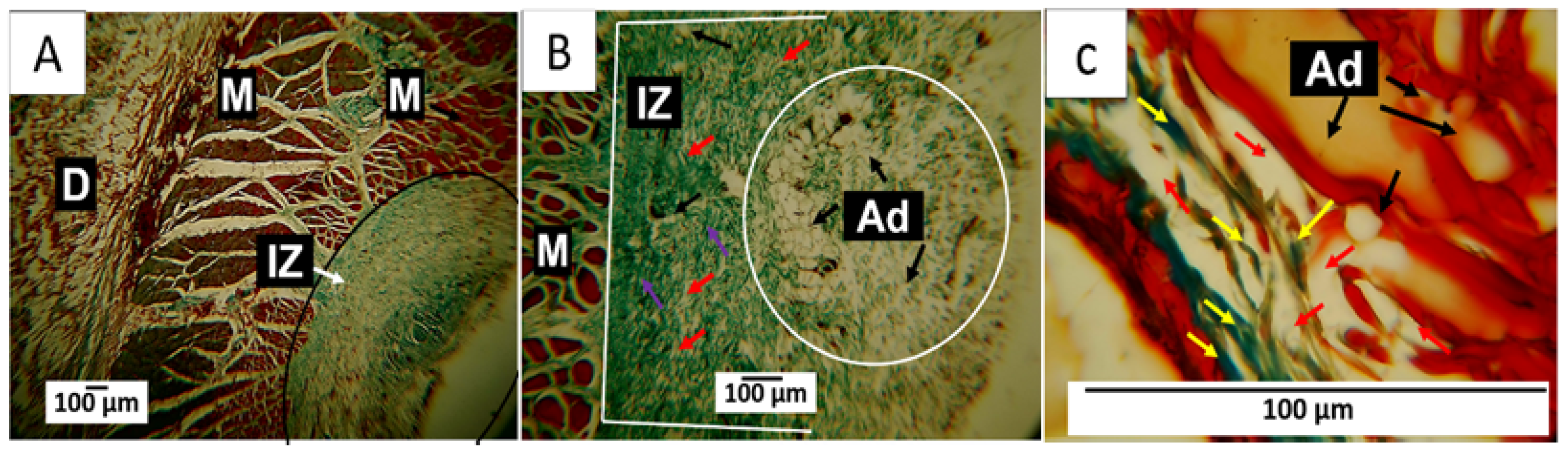 Polymers 15 04595 g007