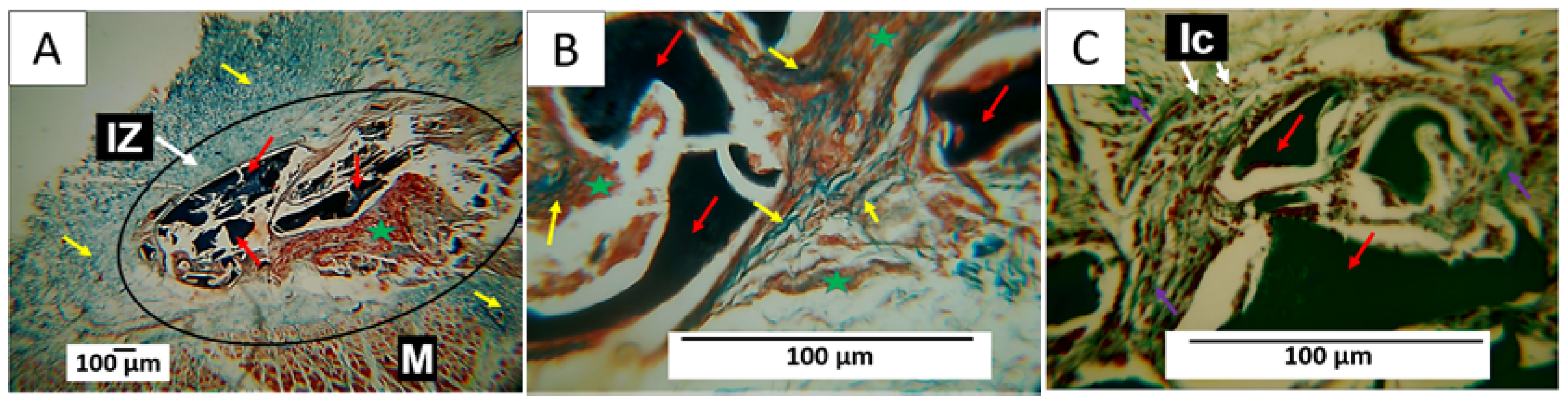 Polymers 15 04595 g008